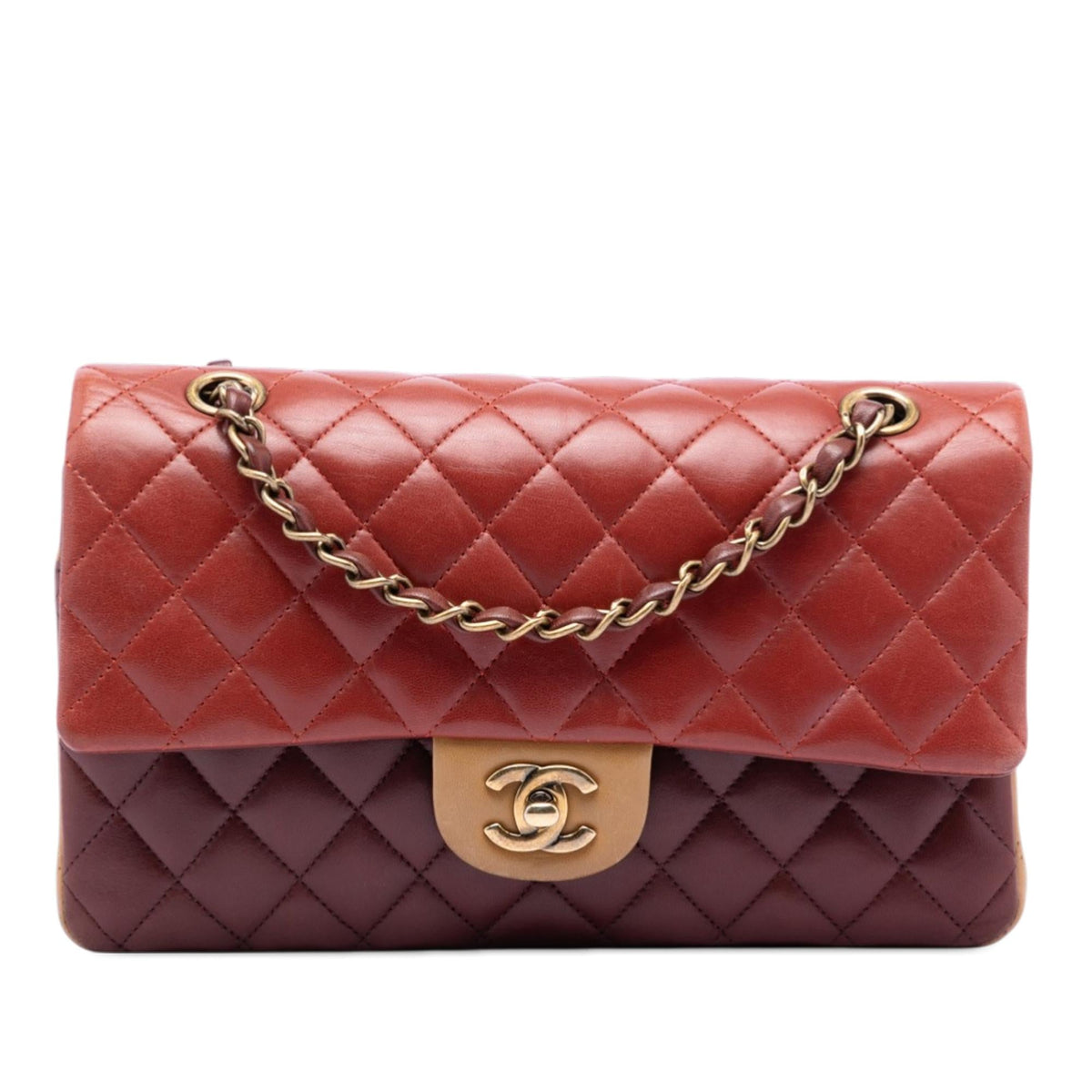 Chanel Medium Classic Tricolor Lambskin Double Flap