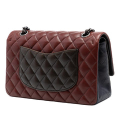Chanel Medium Classic Tricolor Lambskin Double Flap