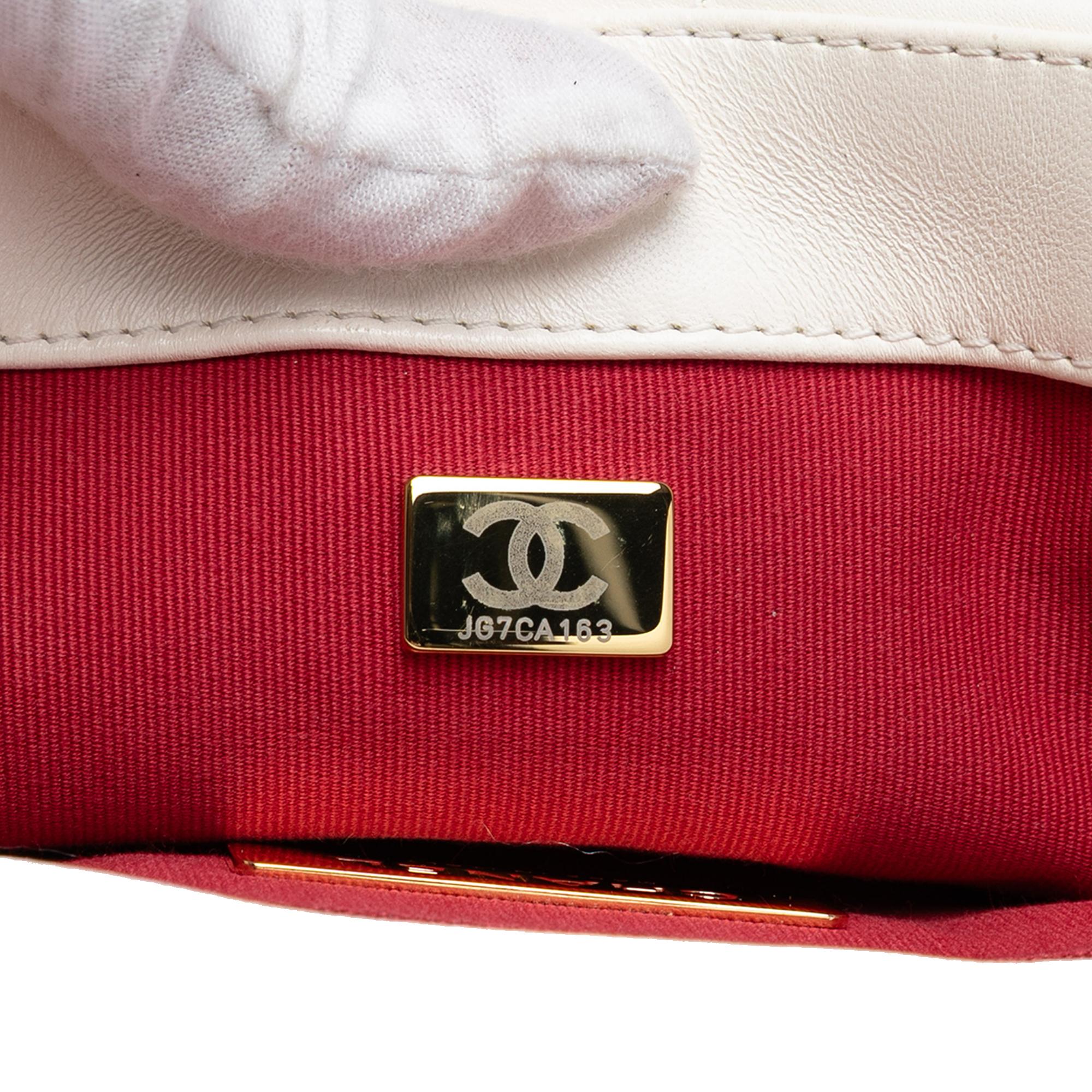 Chanel Medium Lambskin 19 Flap