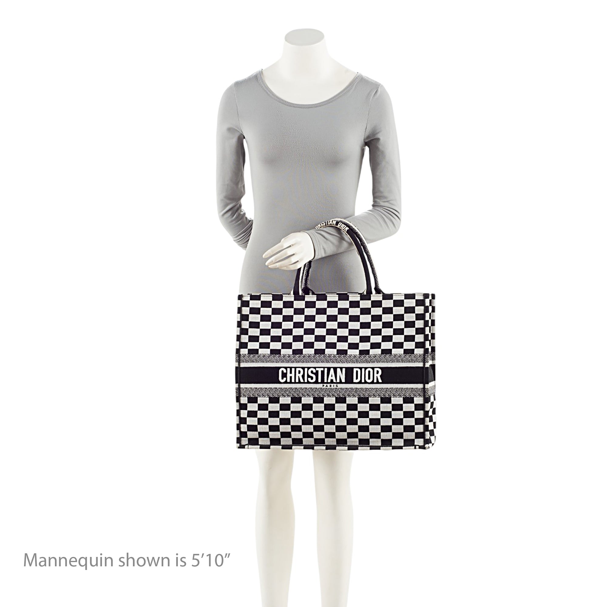 Dior Embroidered Canvas Checkered Large Book Tote