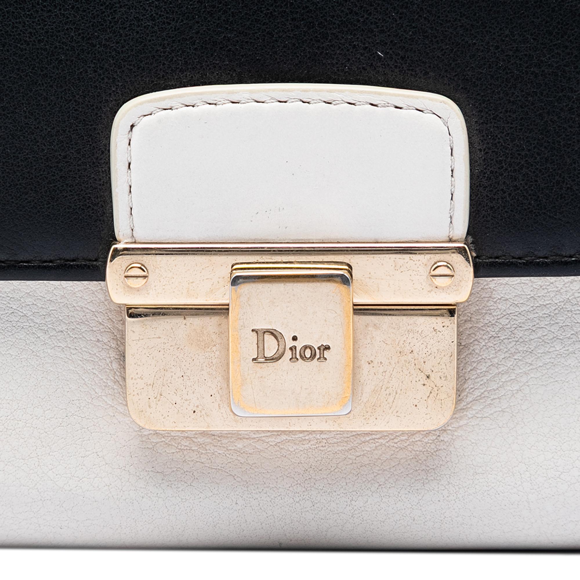 Dior Bicolor Calfskin Diorling Wallet on Chain