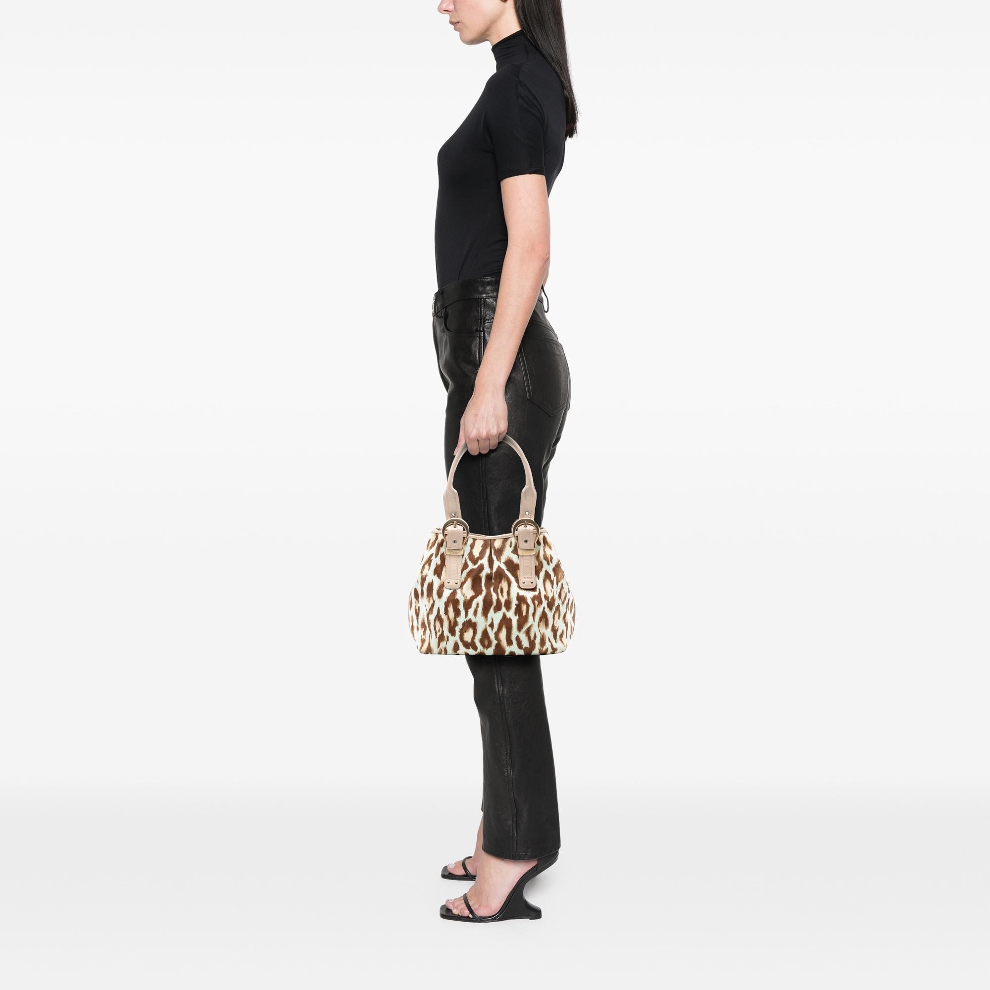 Dior Canvas Leopard Print Saint Tropez Tote