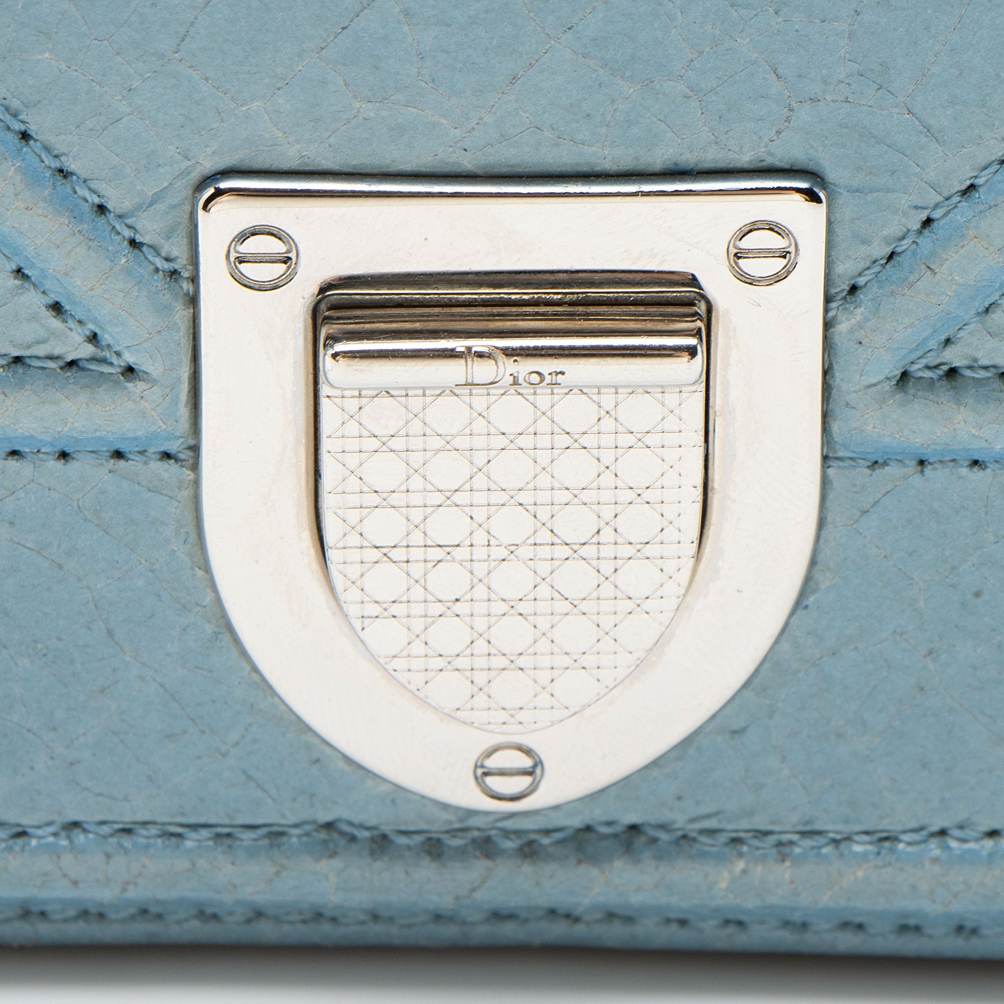 Dior Crackled Deerskin Diorama Baby Shoulder Bag