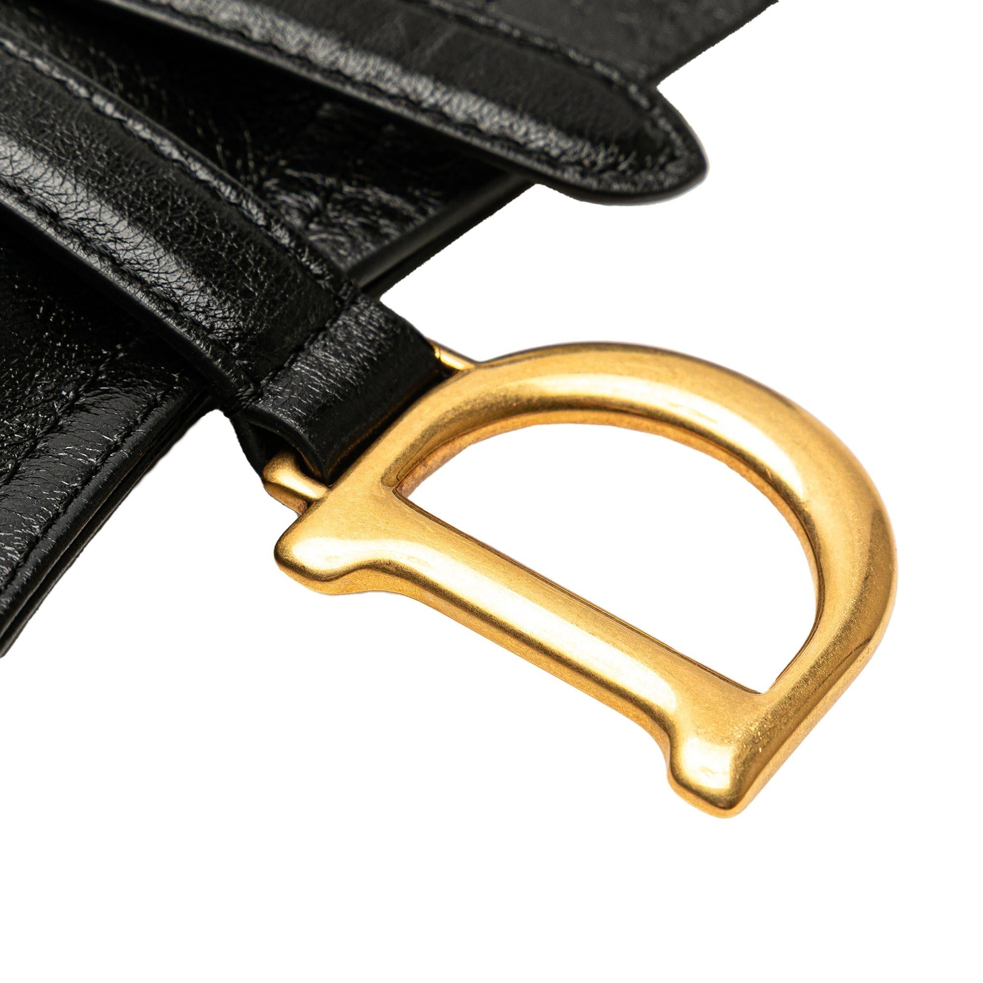 Dior Crinkled Lambskin Saddle Belt Bag