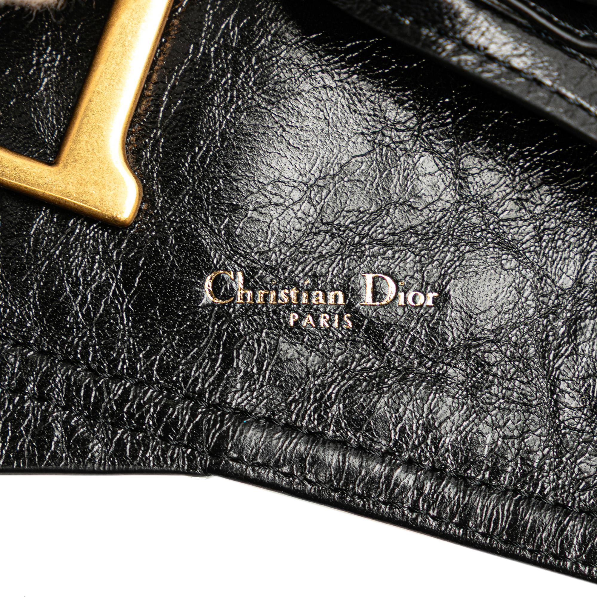 Dior Crinkled Lambskin Saddle Belt Bag