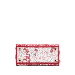 Dior DiorAmour Medium Embroidered Canvas Royale Lady D Lite