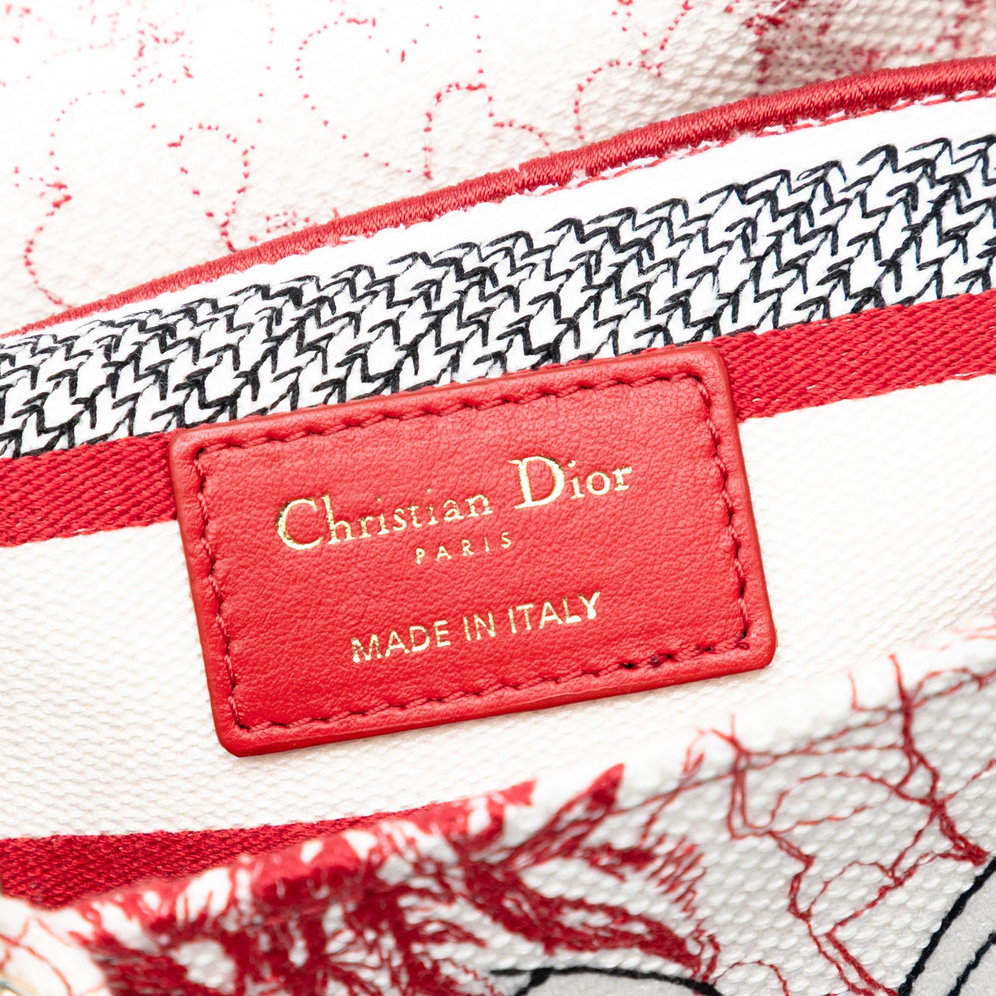 Dior DiorAmour Medium Embroidered Canvas Royale Lady D Lite