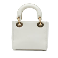 Dior DiorAmour Niki De Saint Phalle Mini Calfskin Lady Dior