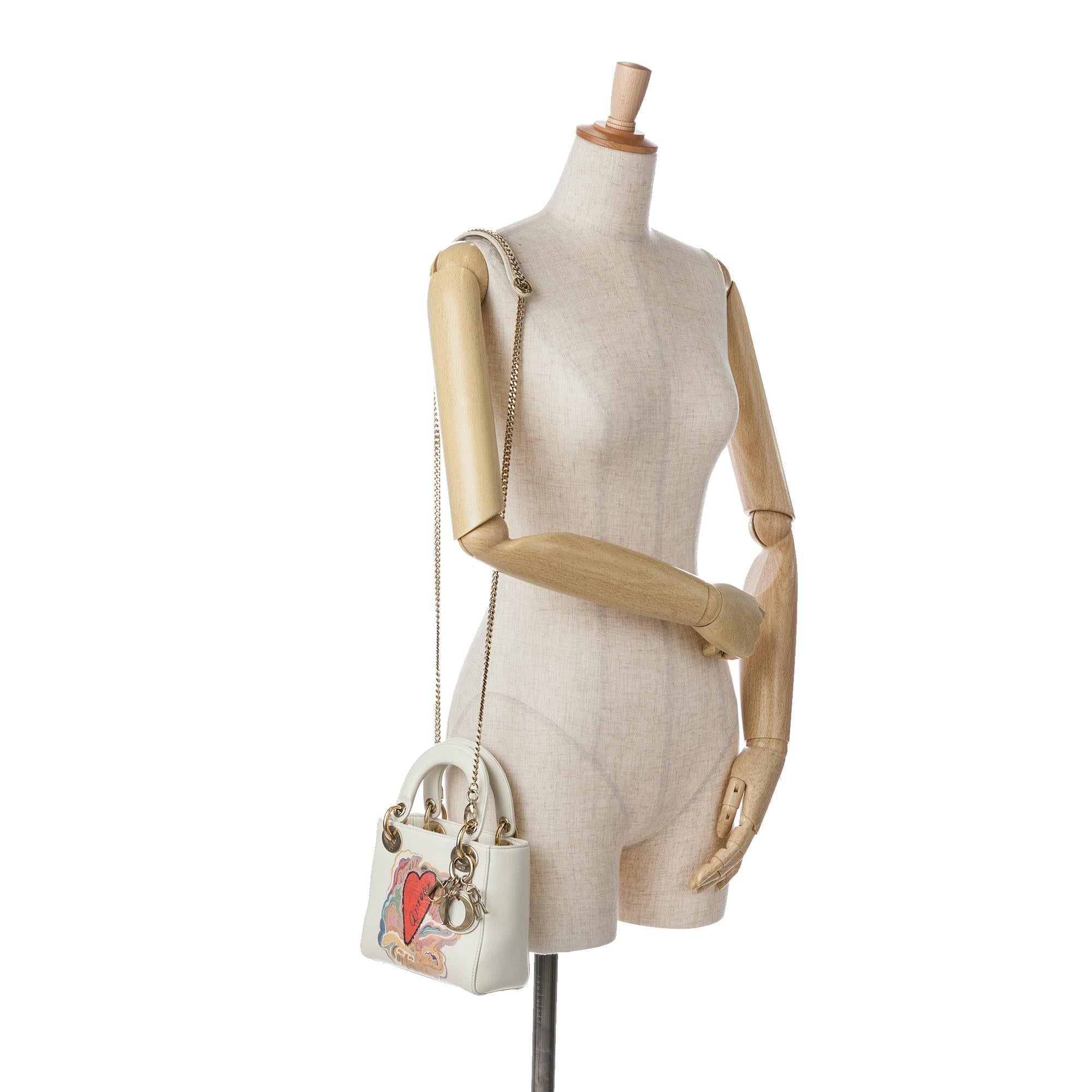 Dior DiorAmour Niki De Saint Phalle Mini Calfskin Lady Dior