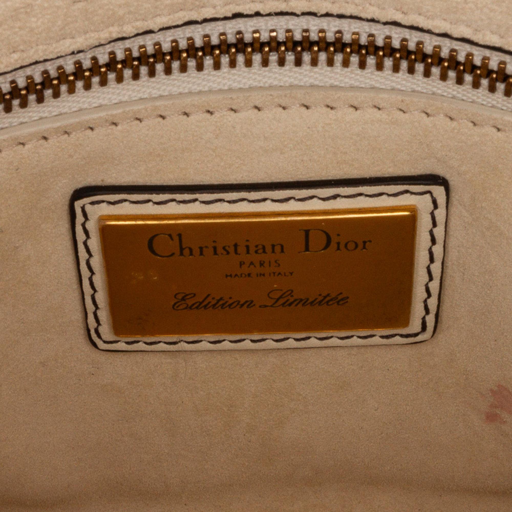 Dior DiorAmour Niki De Saint Phalle Mini Calfskin Sequins Lady Dior