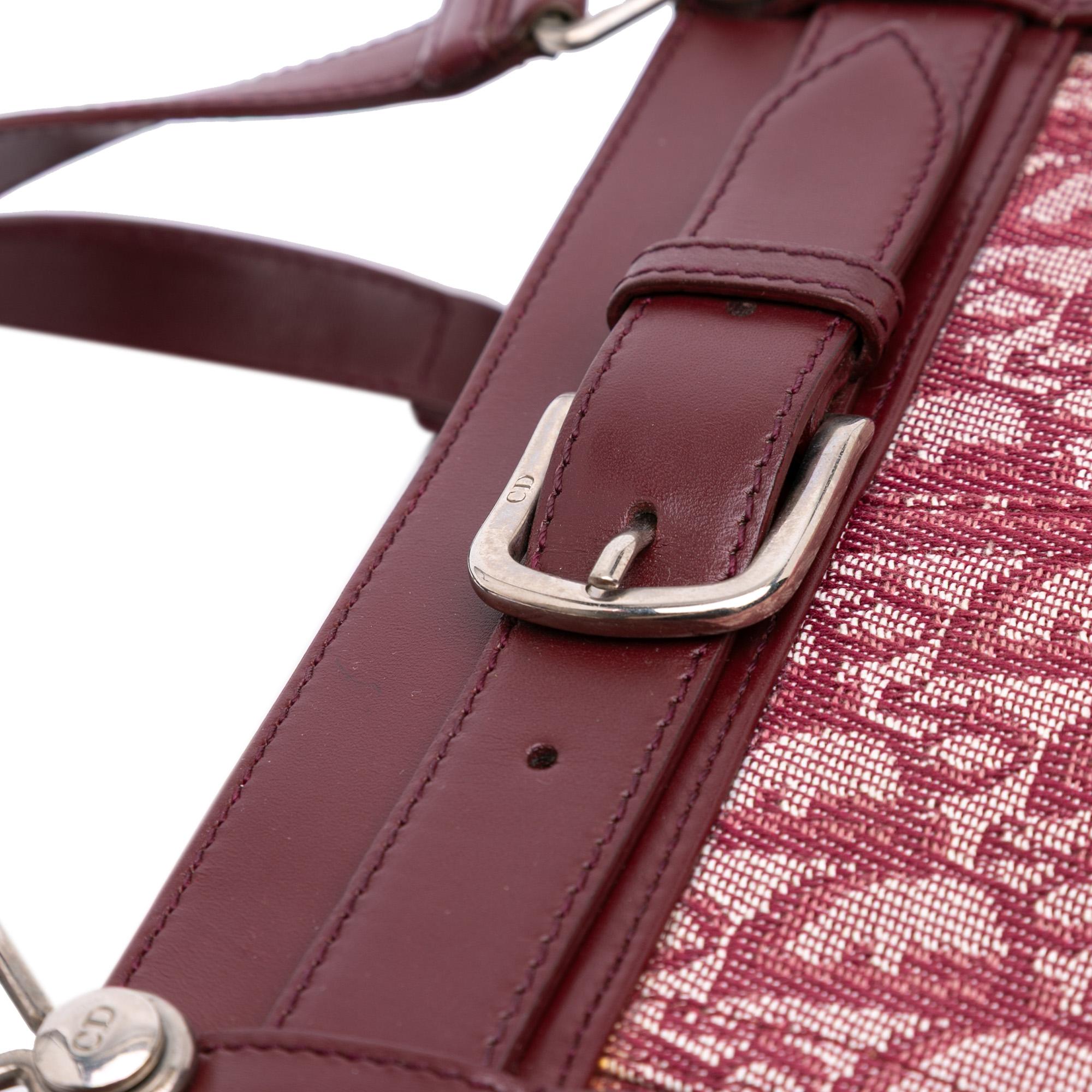 Dior Diorissimo Trotter Canvas Horizontal Tote