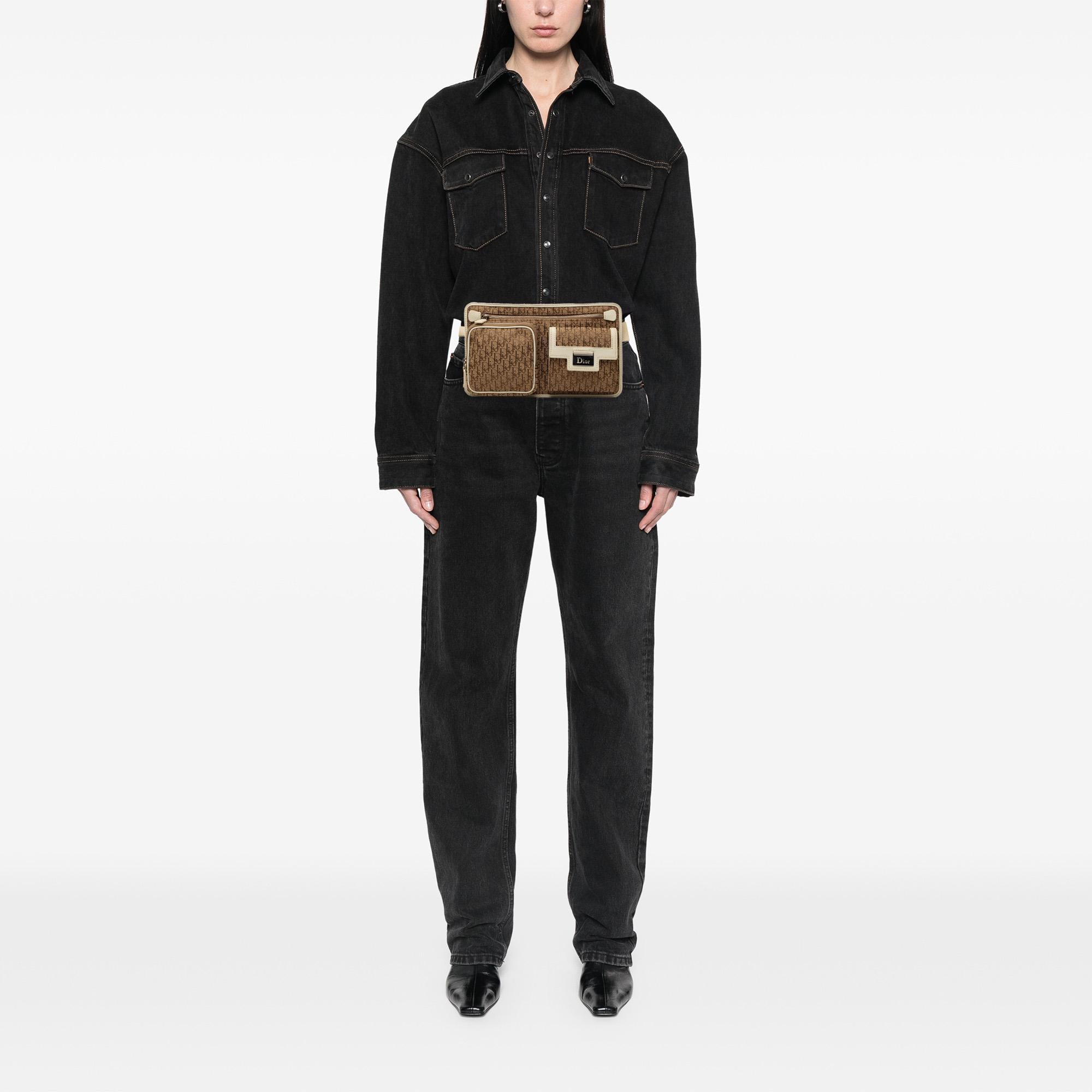 Dior Diorissimo Trotter Canvas Street Chic Belt Bag