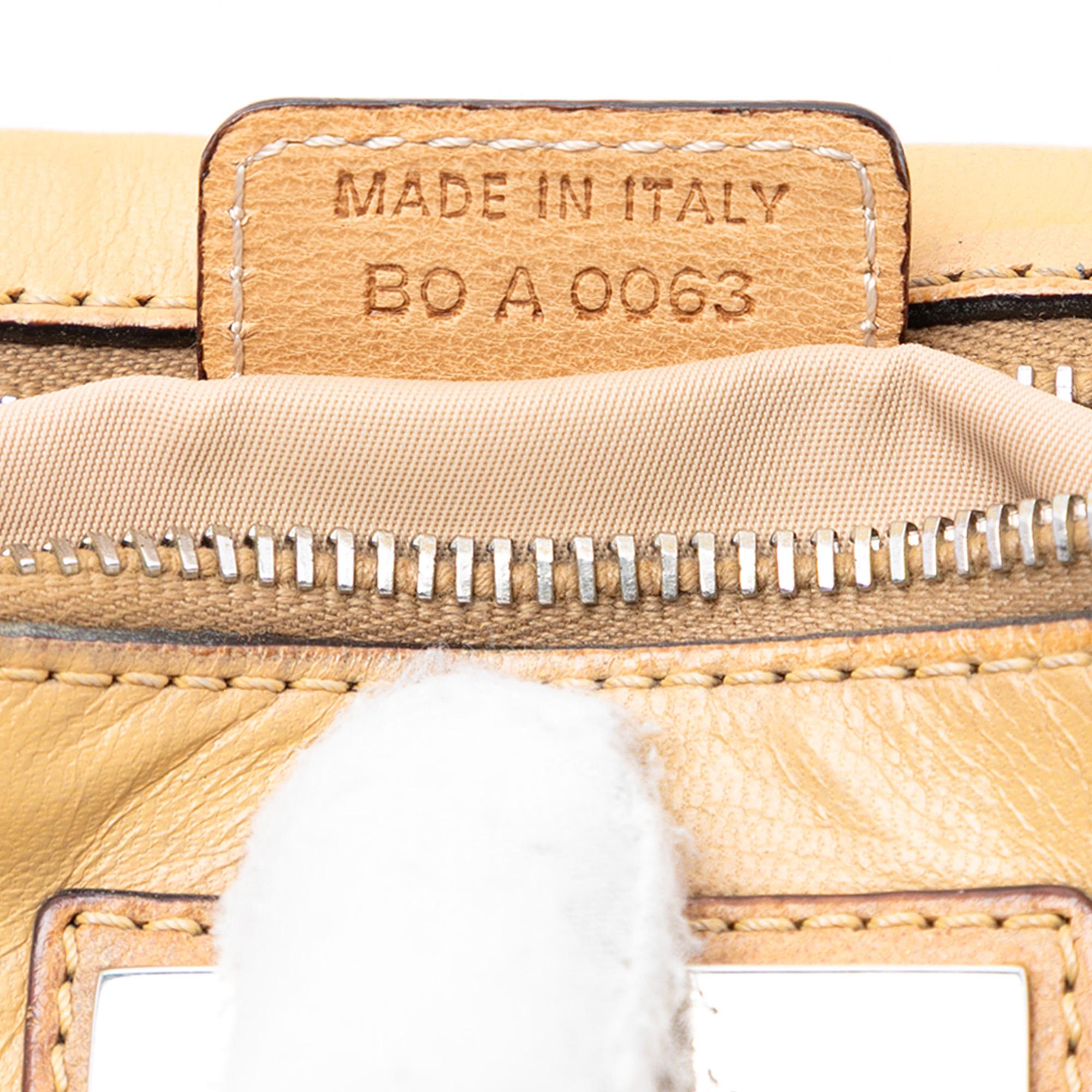 Dior Diorissimo Trotter Canvas Street Chic Crossbody
