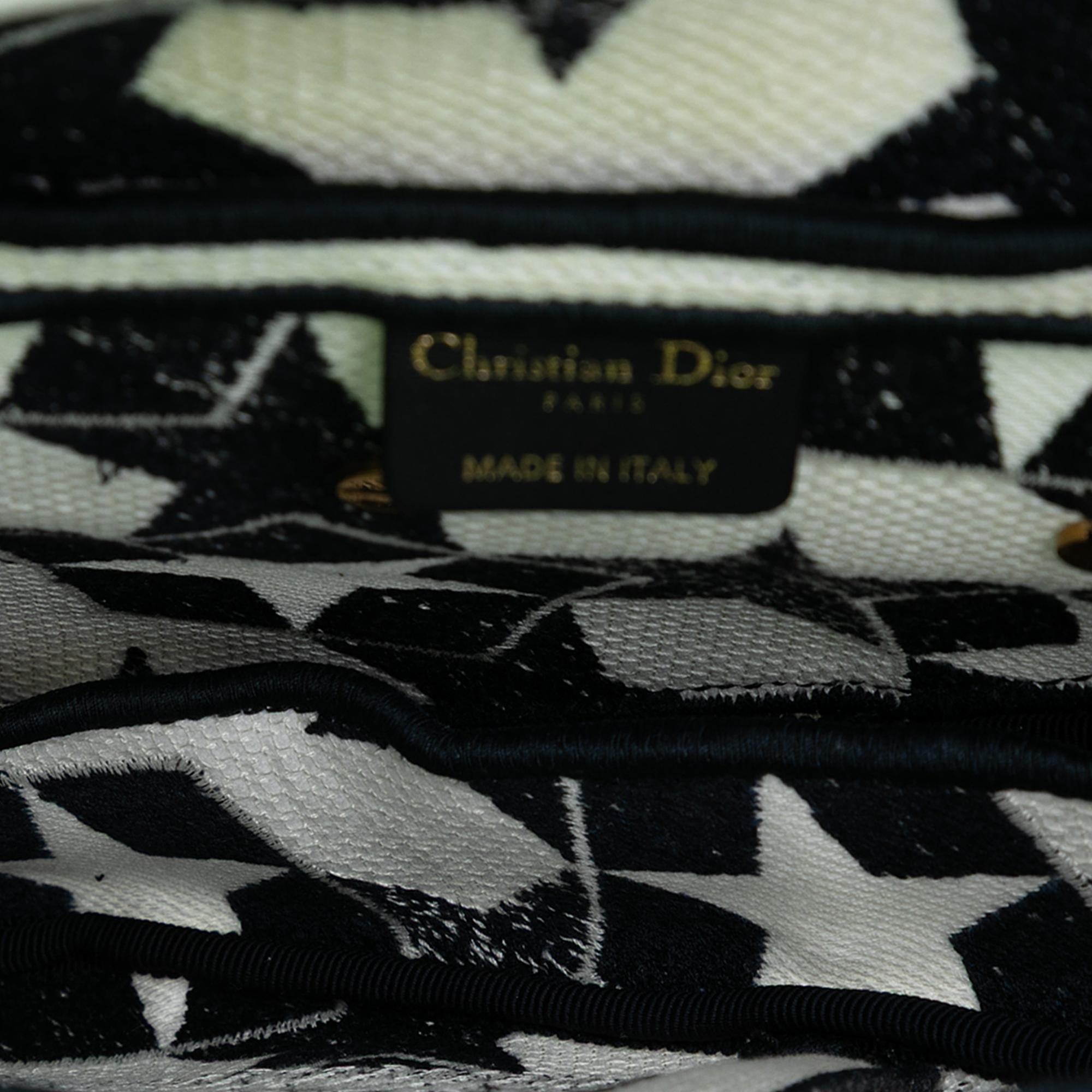 Dior Embroidered Canvas Stars Saddle Bag