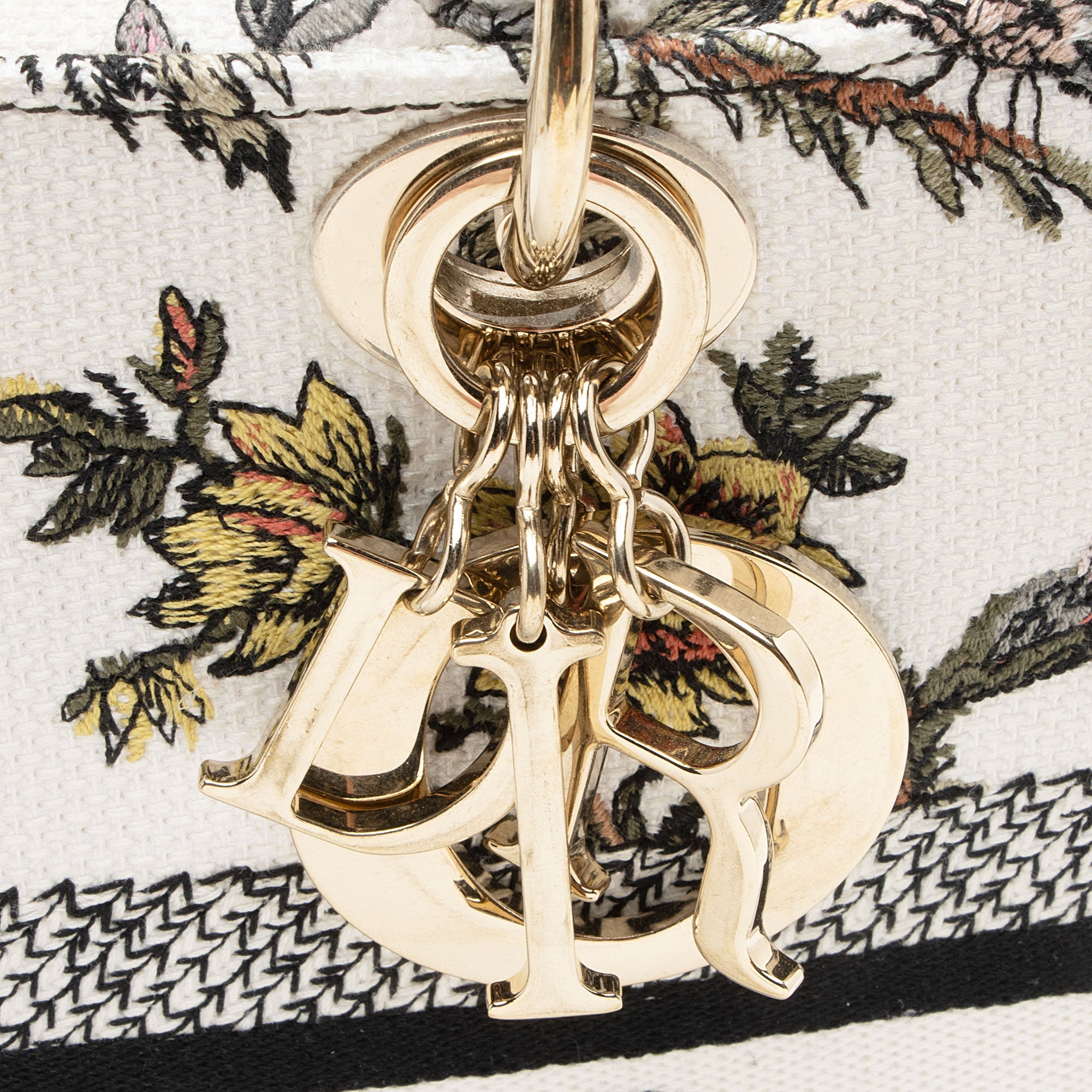 Dior Embroidered Jardin Botanique Lady D-Lite Medium Tote