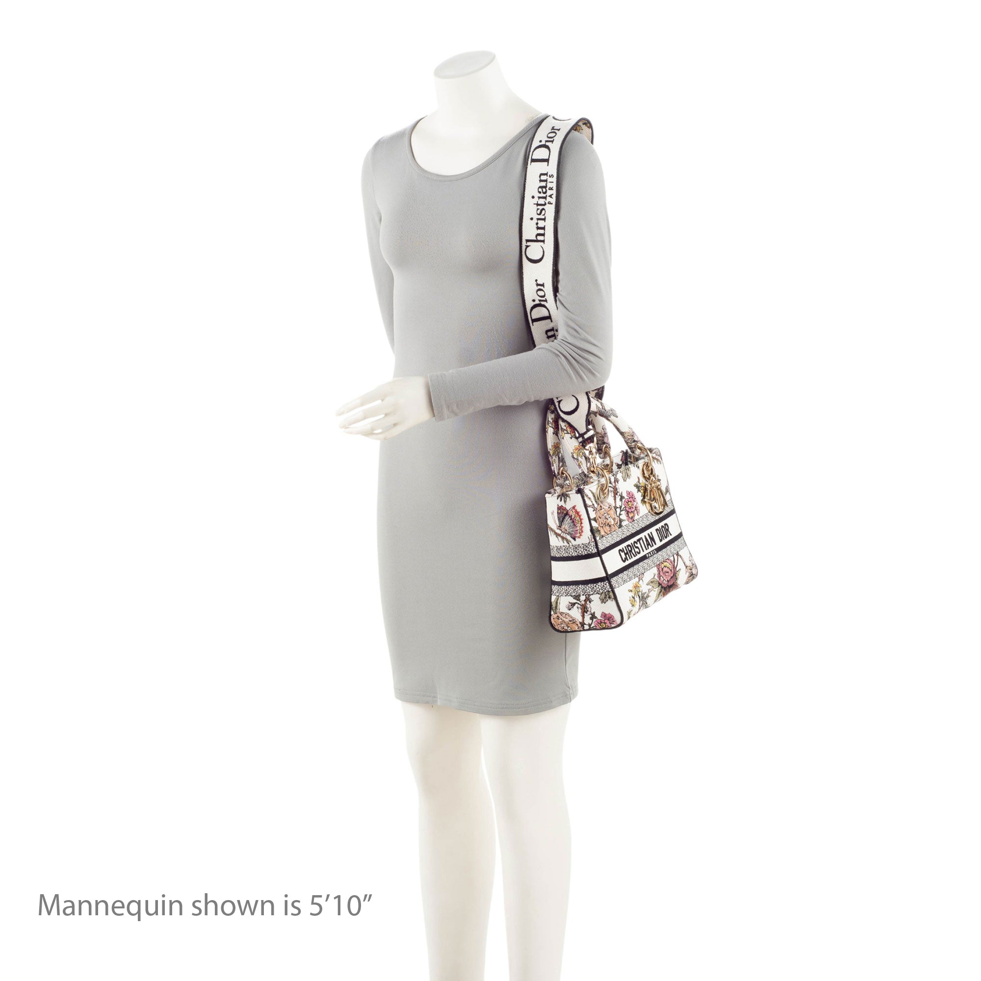 Dior Embroidered Jardin Botanique Lady D-Lite Medium Tote