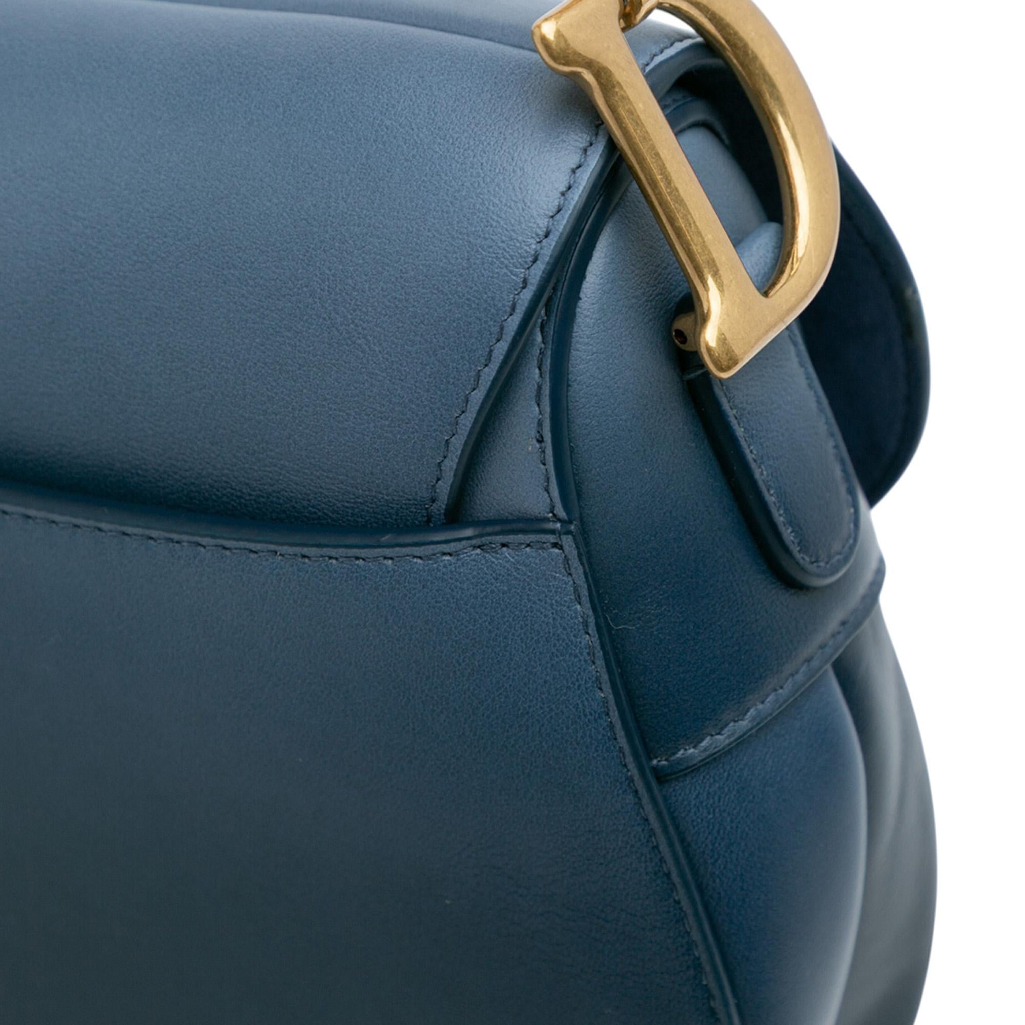 Dior Gradient Calfskin Saddle Bag