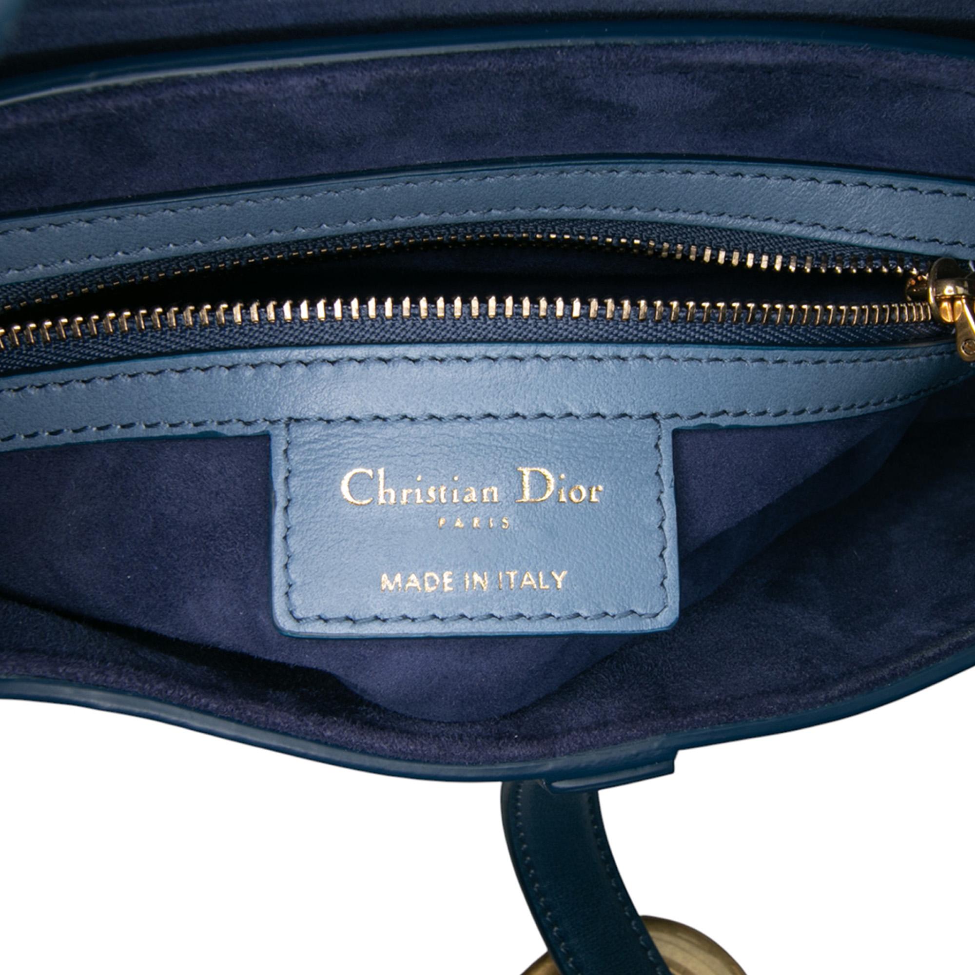 Dior Gradient Calfskin Saddle Bag