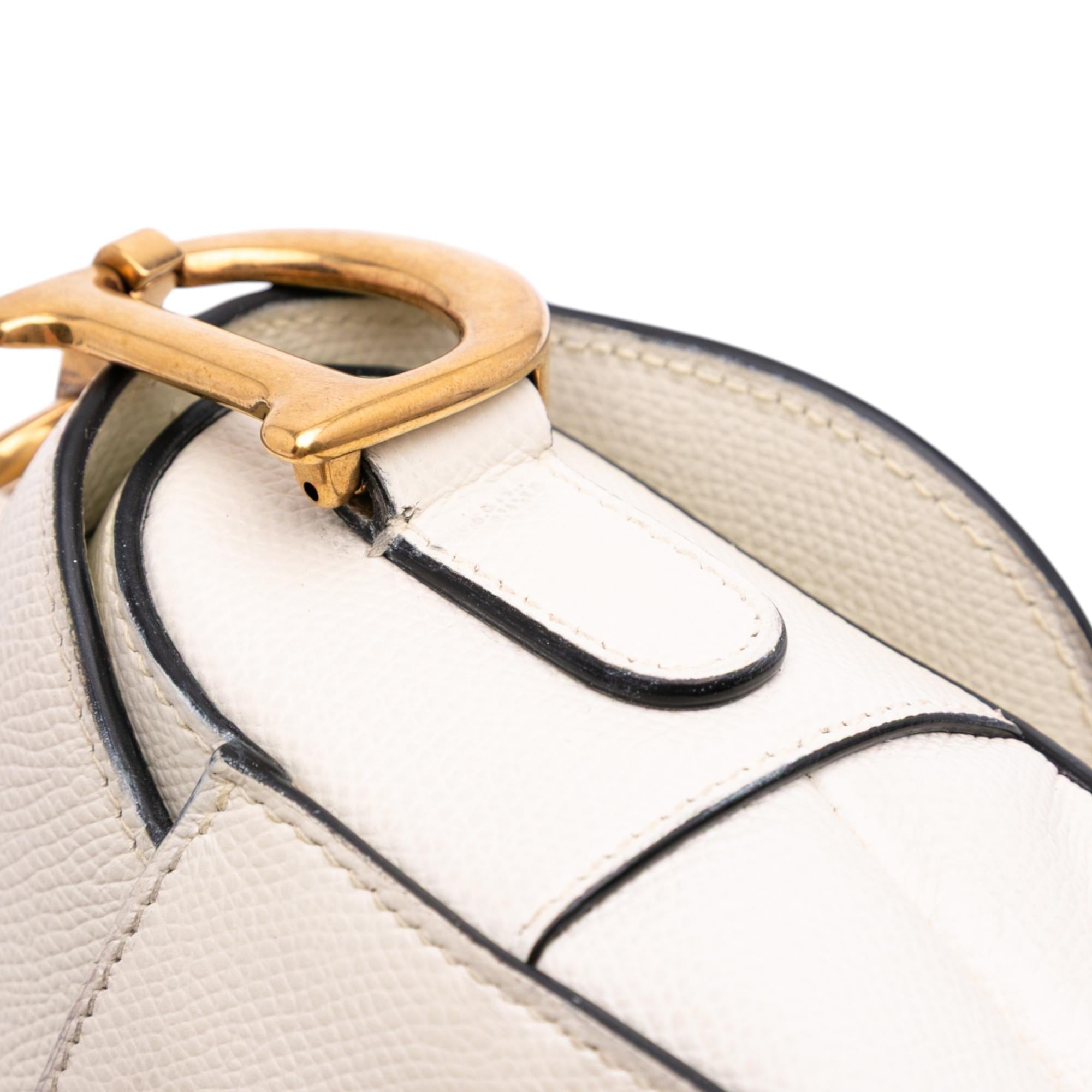 Dior Grained Calfskin Saddle Bag