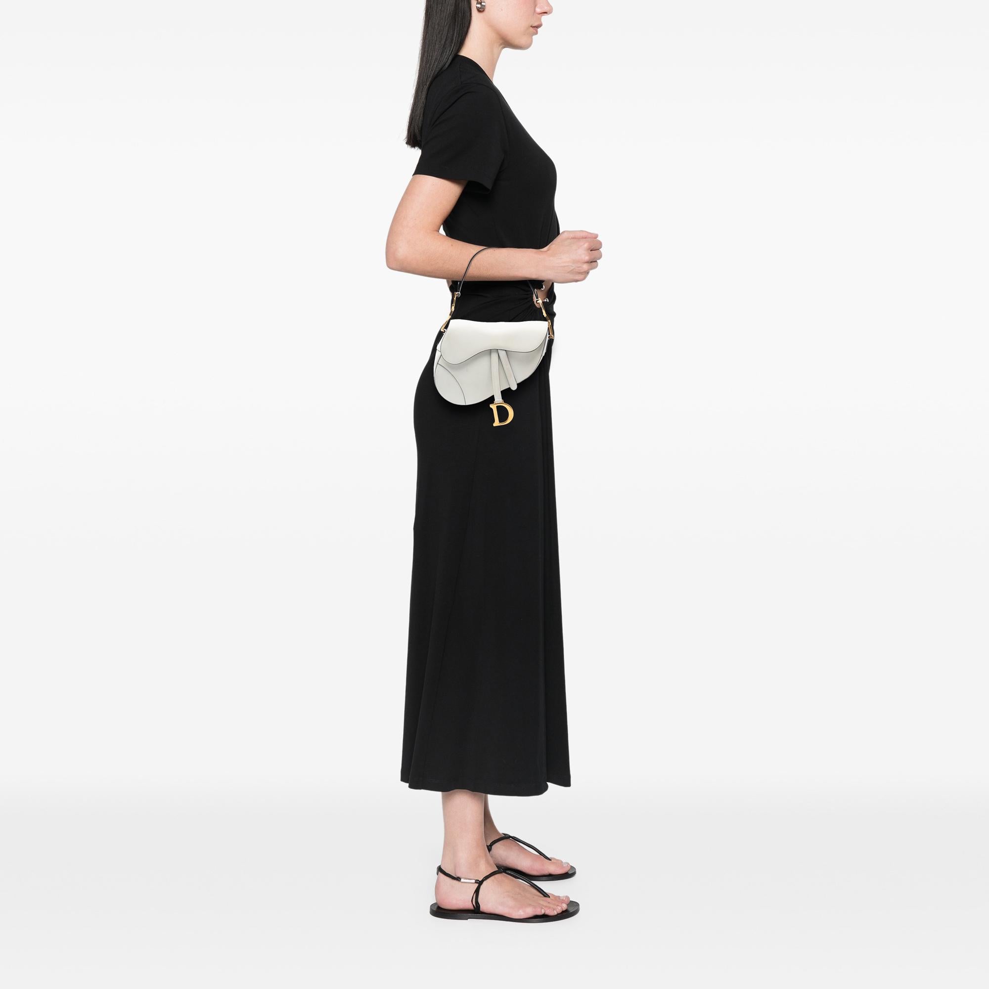 Dior Grained Calfskin Saddle Bag
