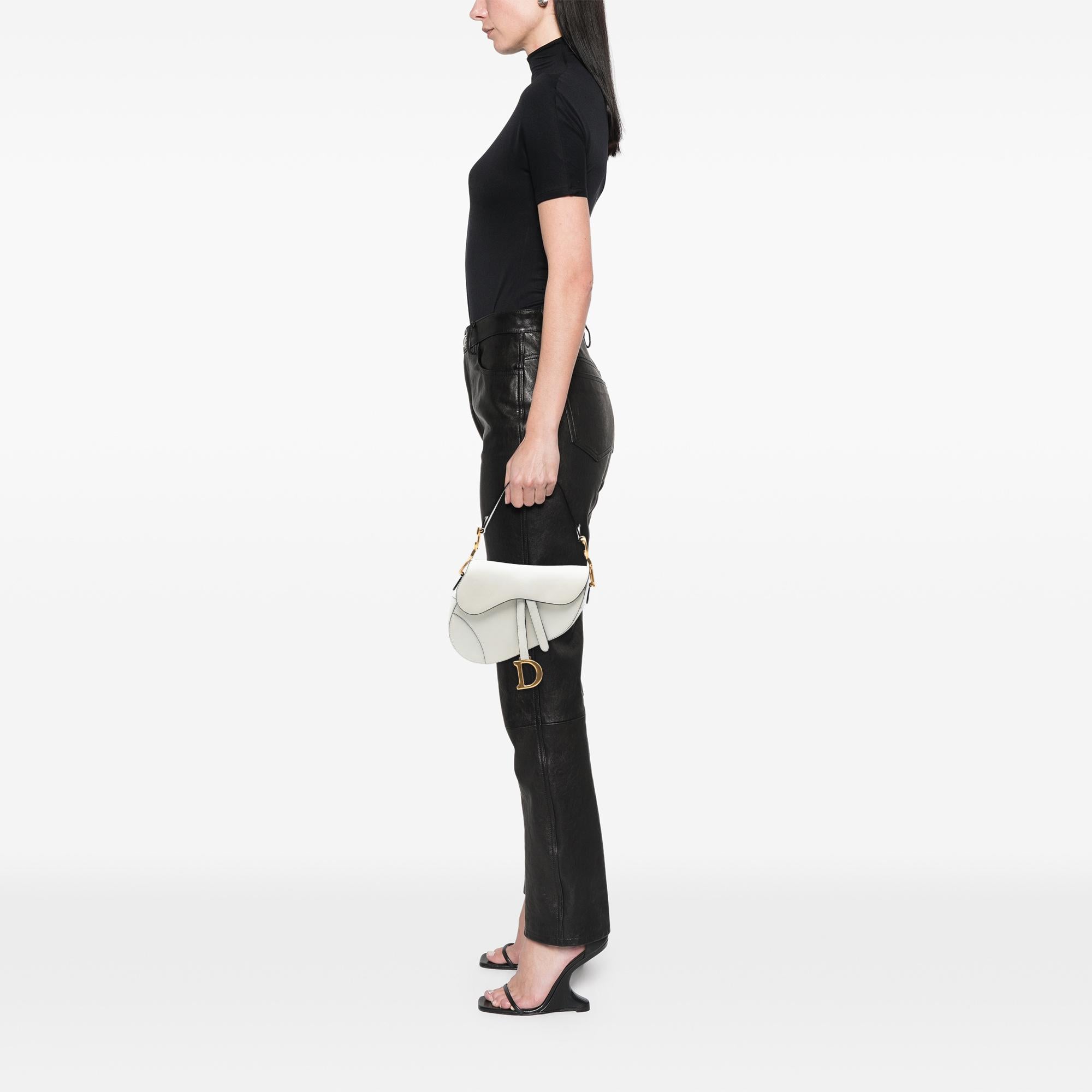 Dior Grained Calfskin Saddle Bag