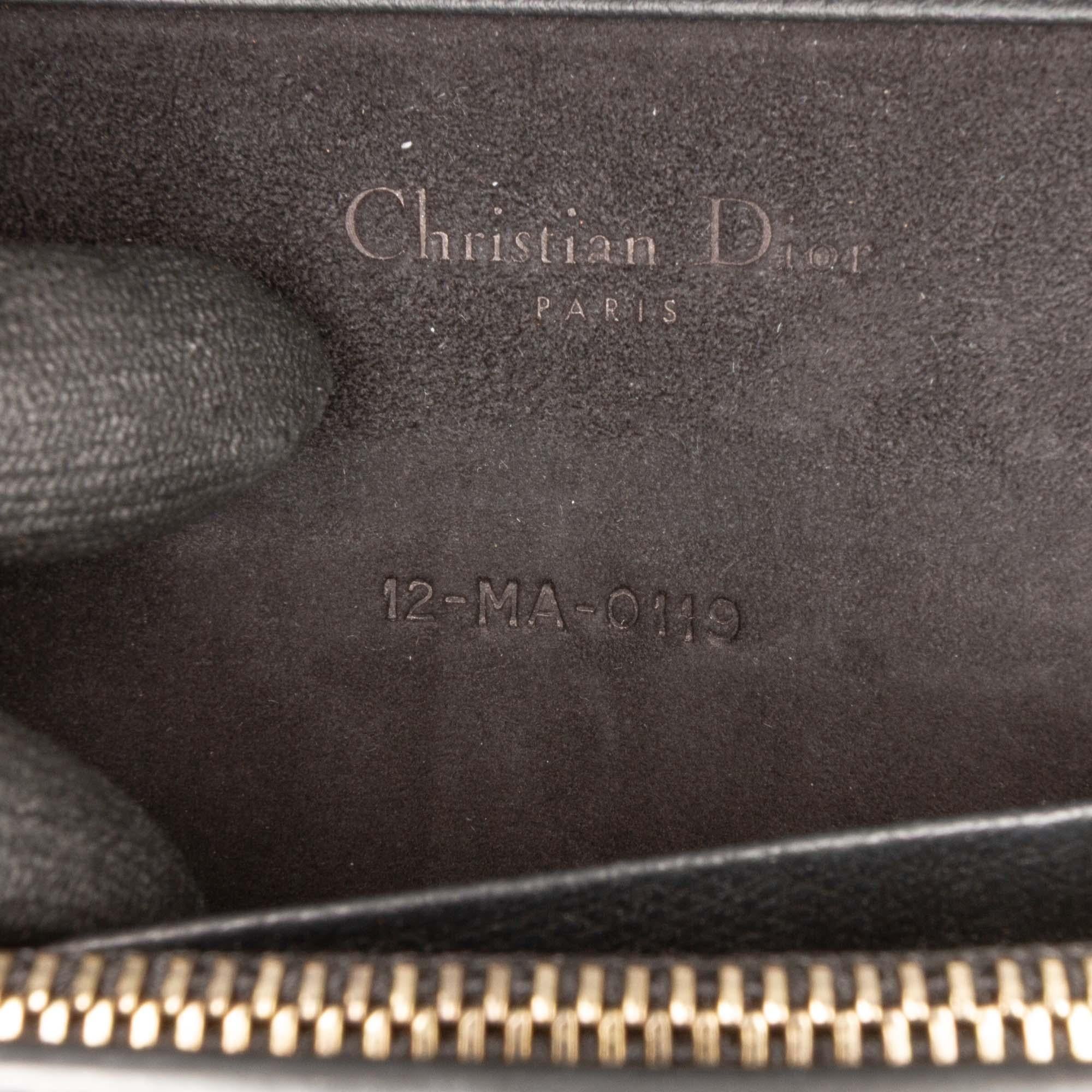 Dior Grained Calfskin Saddle Chain Pouch