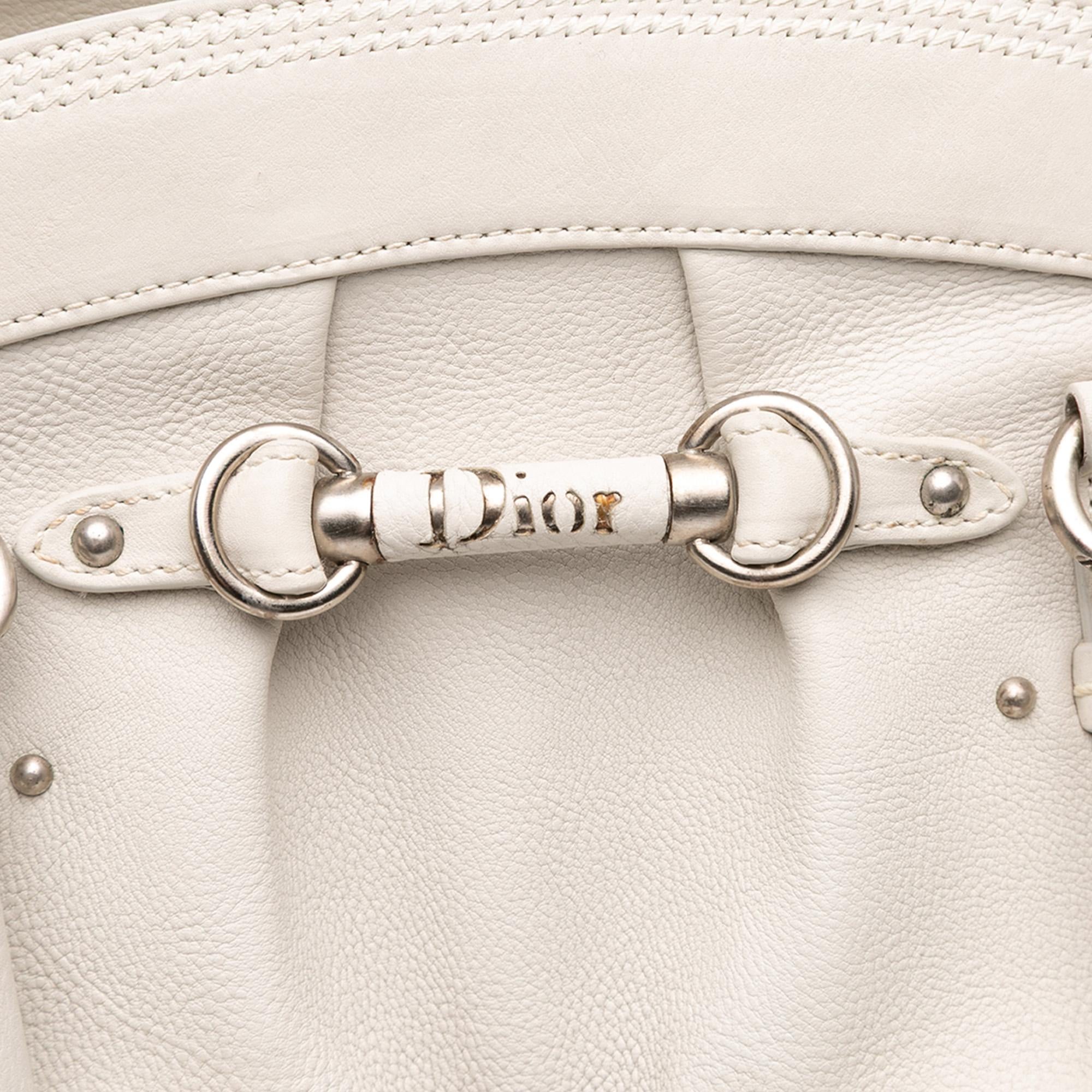 Dior Large Calfskin My Dior Frame Handbag