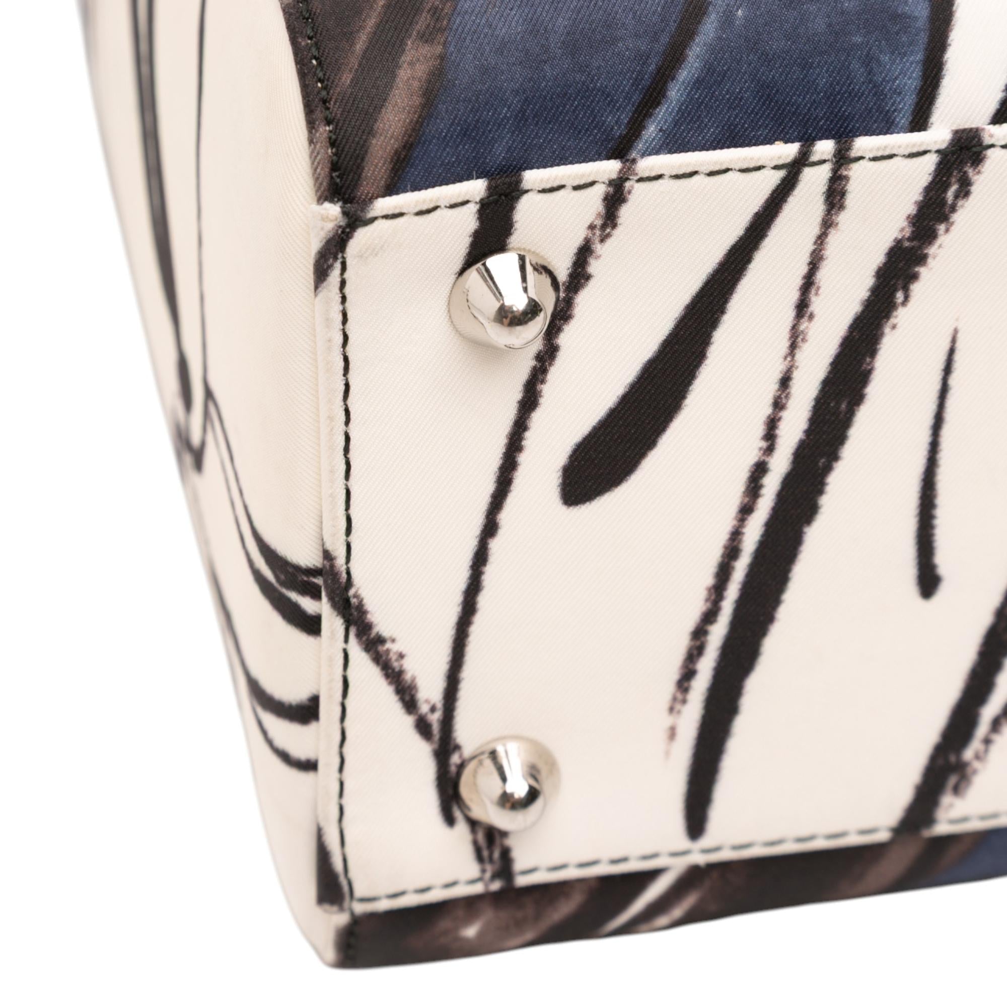 Dior Large Canvas Floral Graffiti Lady Dior
