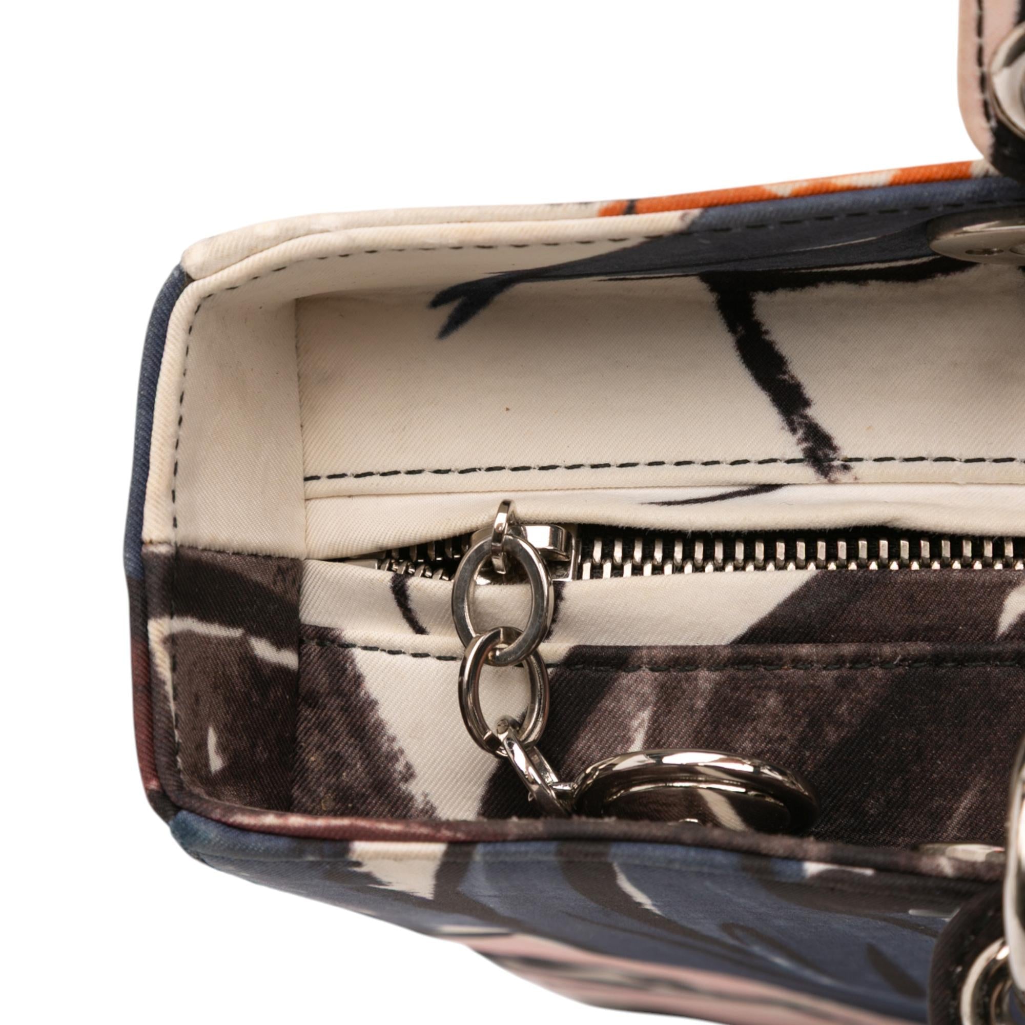 Dior Large Canvas Floral Graffiti Lady Dior