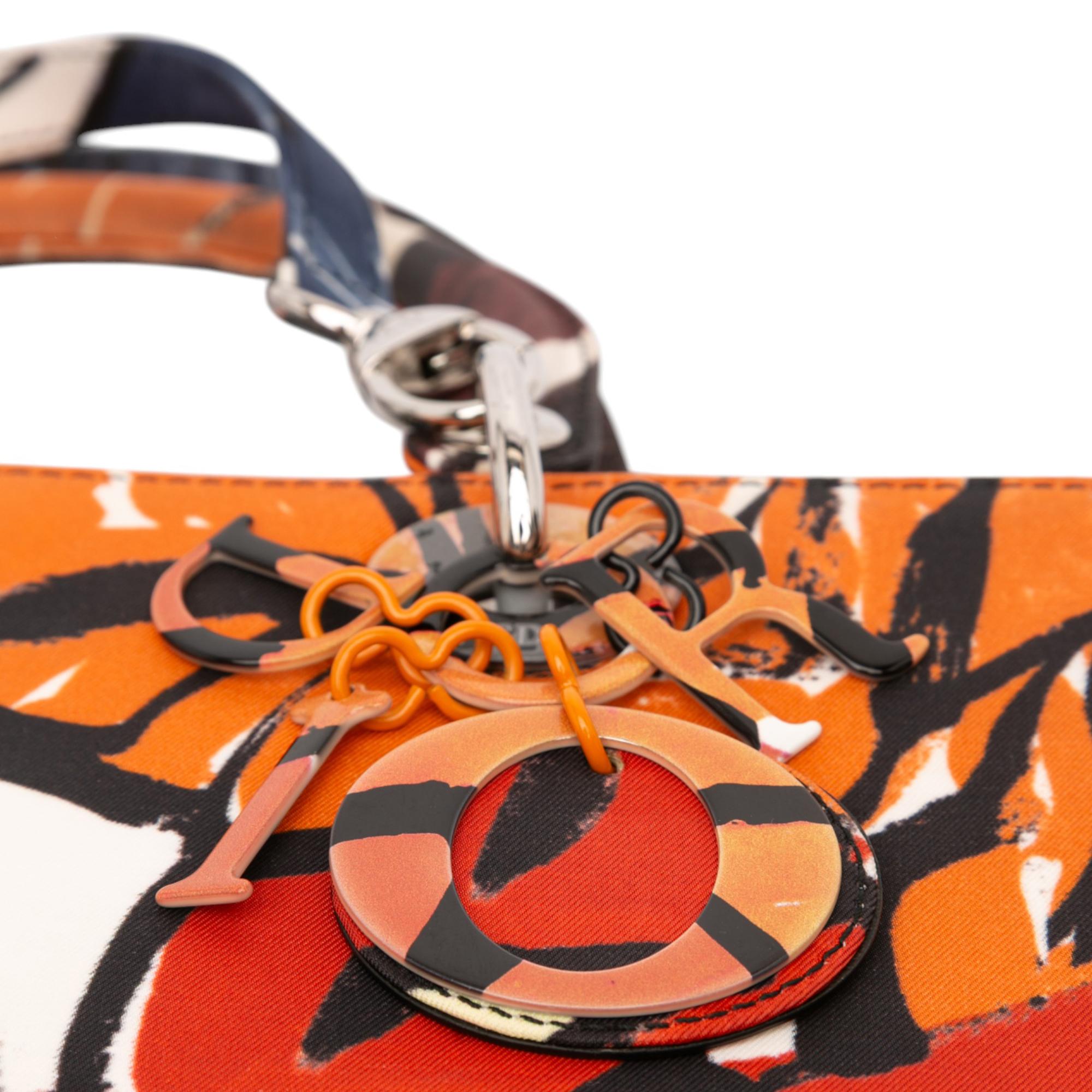 Dior Large Canvas Floral Graffiti Lady Dior
