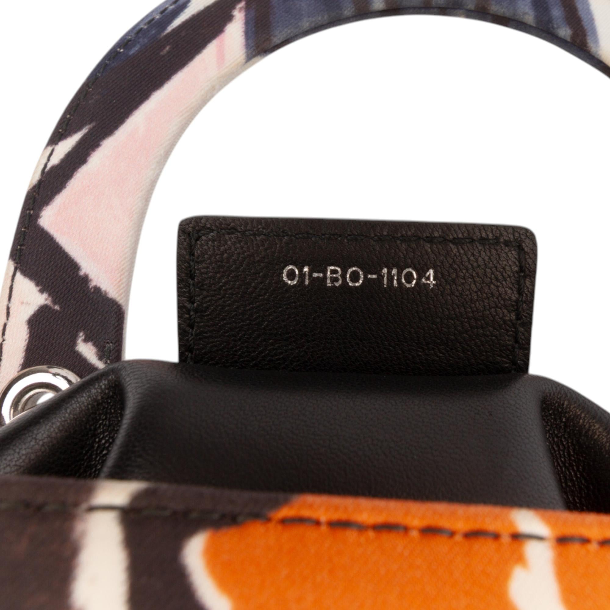 Dior Large Canvas Floral Graffiti Lady Dior