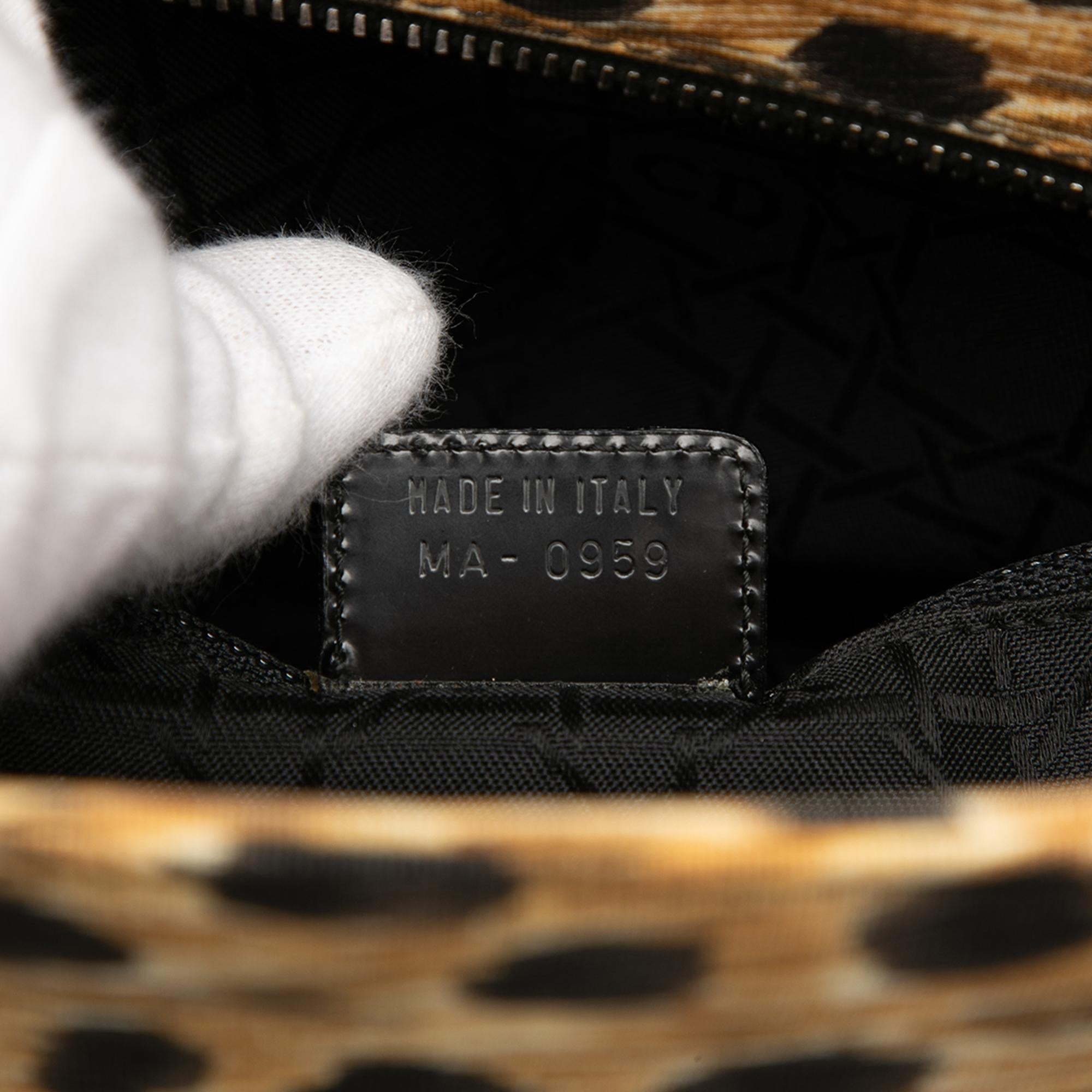 Dior Large Canvas Leopard Print Lady Dior