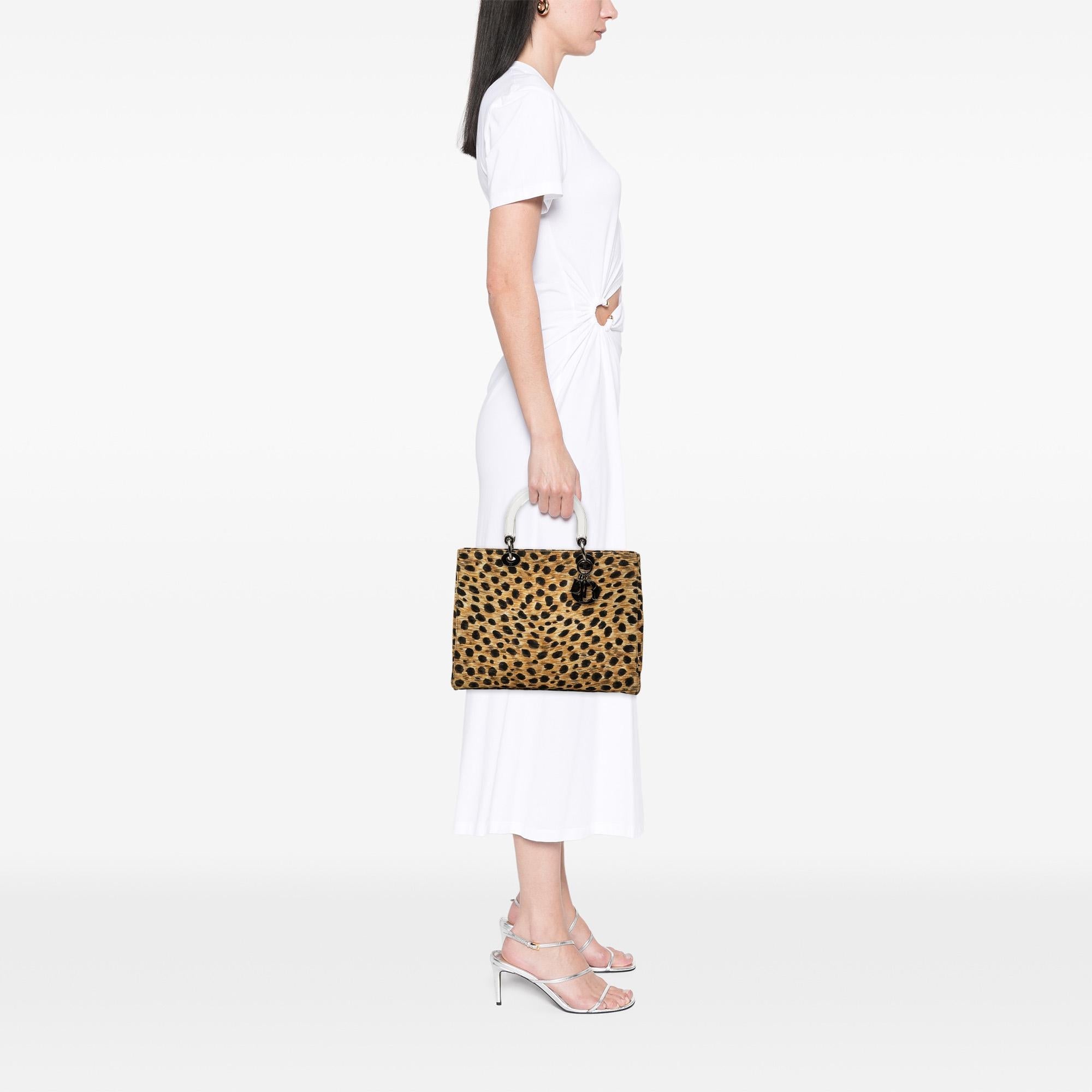 Dior Large Canvas Leopard Print Lady Dior