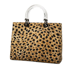 Dior Large Canvas Leopard Print Lady Dior