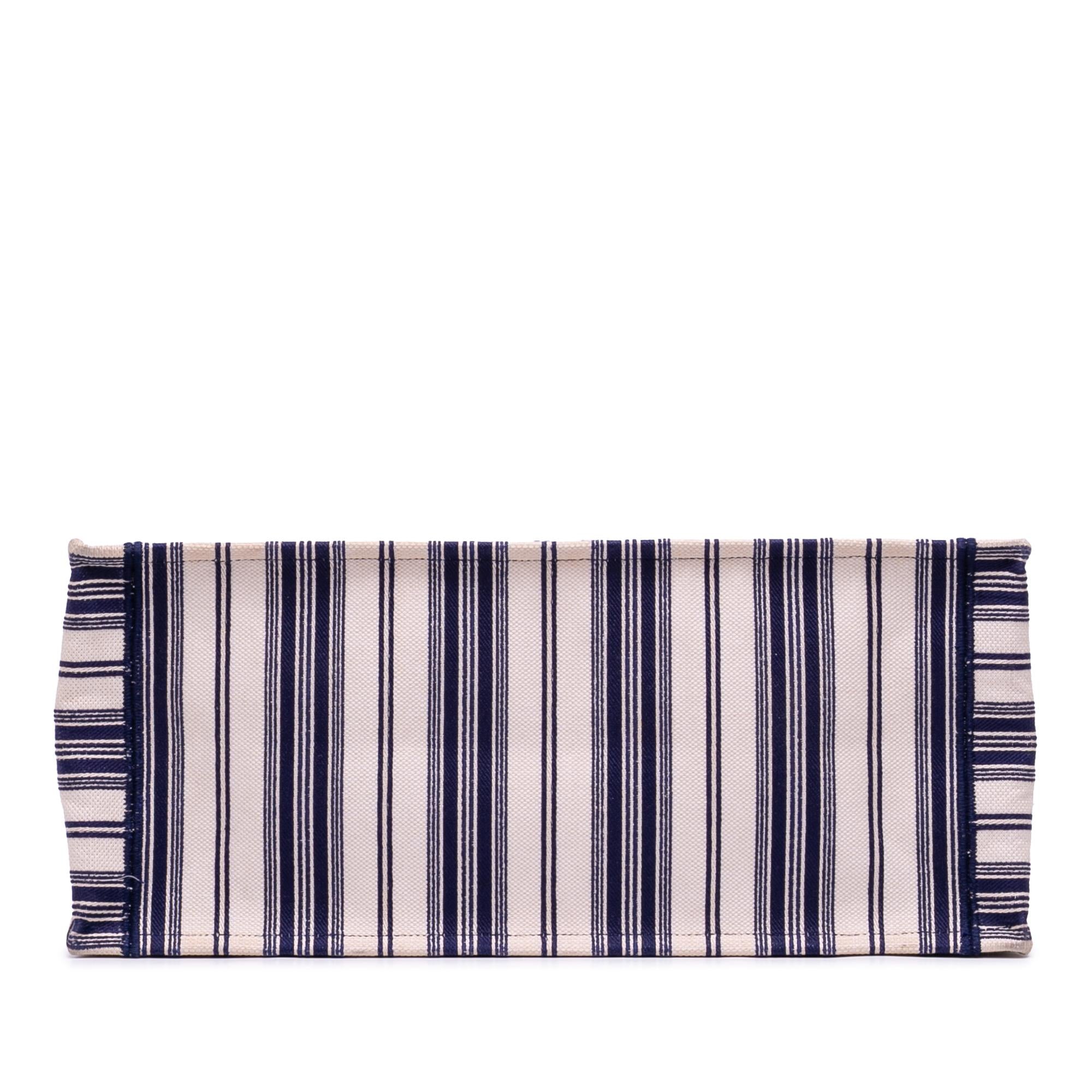 Dior Large Canvas Striped Book Tote