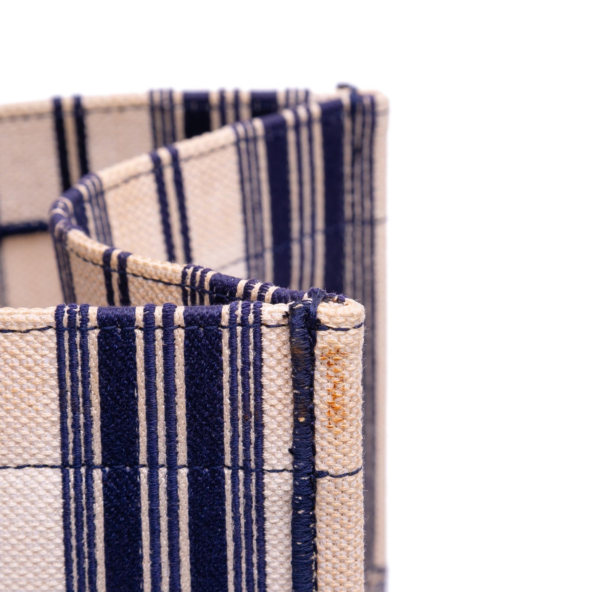 Dior Large Canvas Striped Book Tote