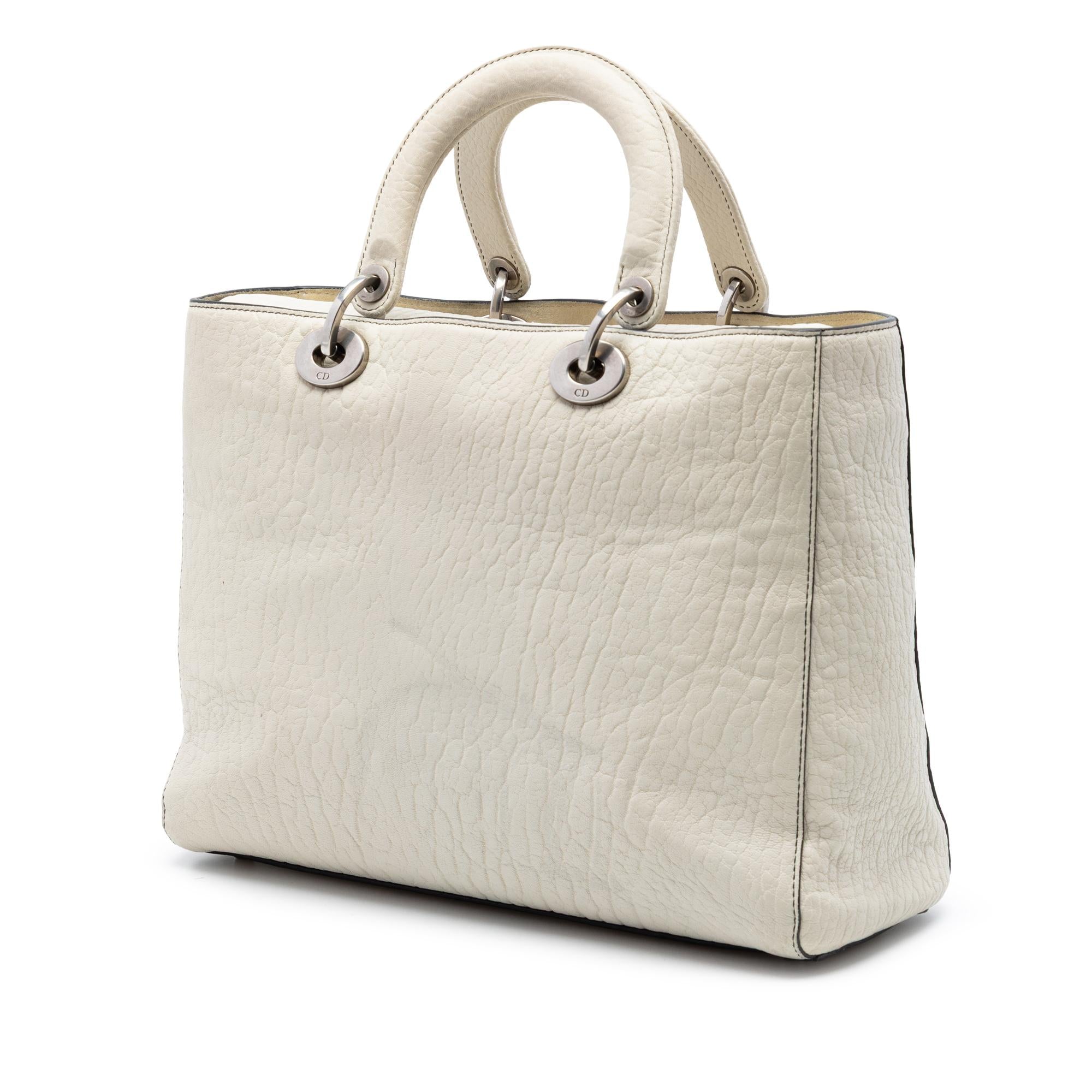 Dior Large Canyon Grained Lambskin Lady Dior
