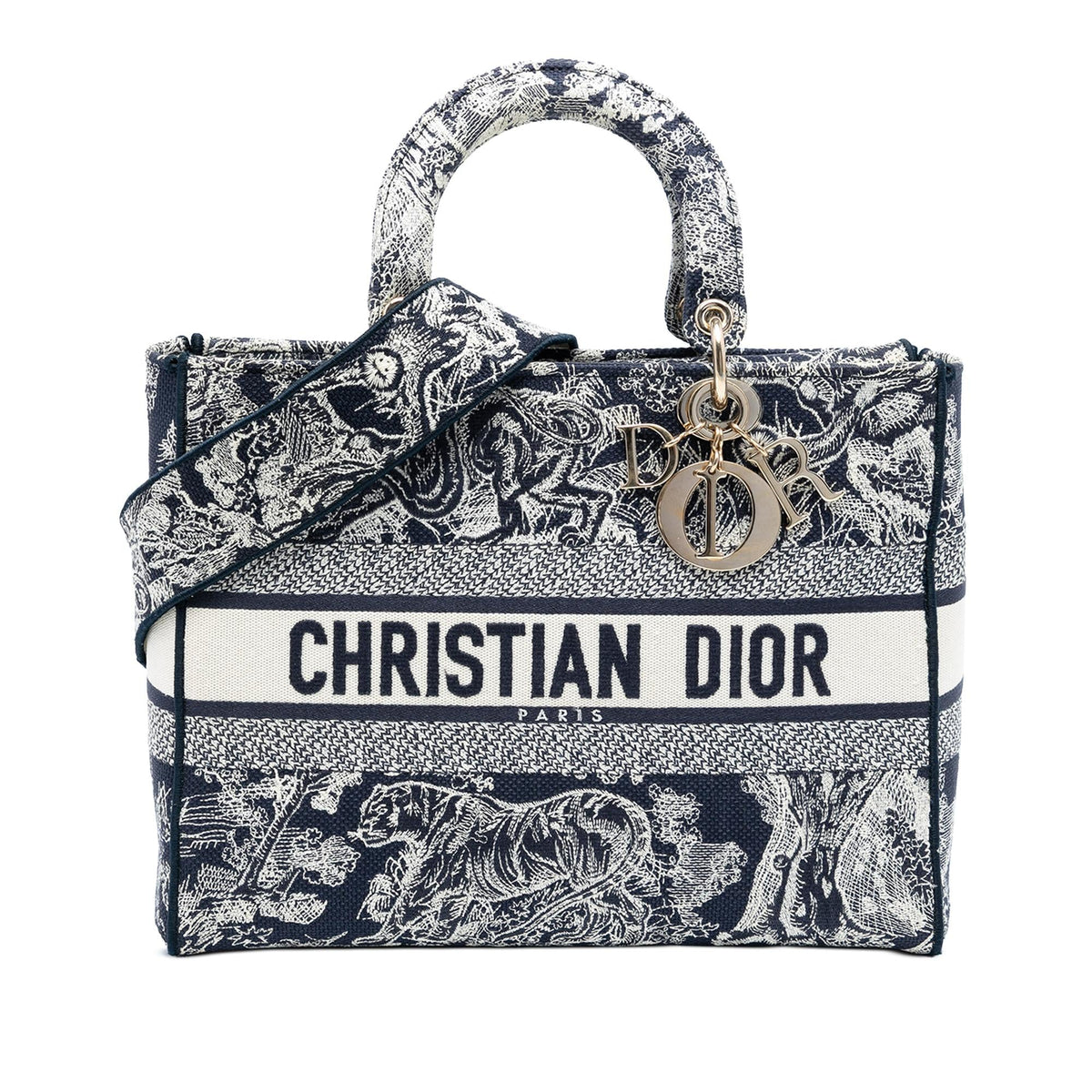 Dior Large Embroidered Canvas Toile de Jouy Lady D Lite