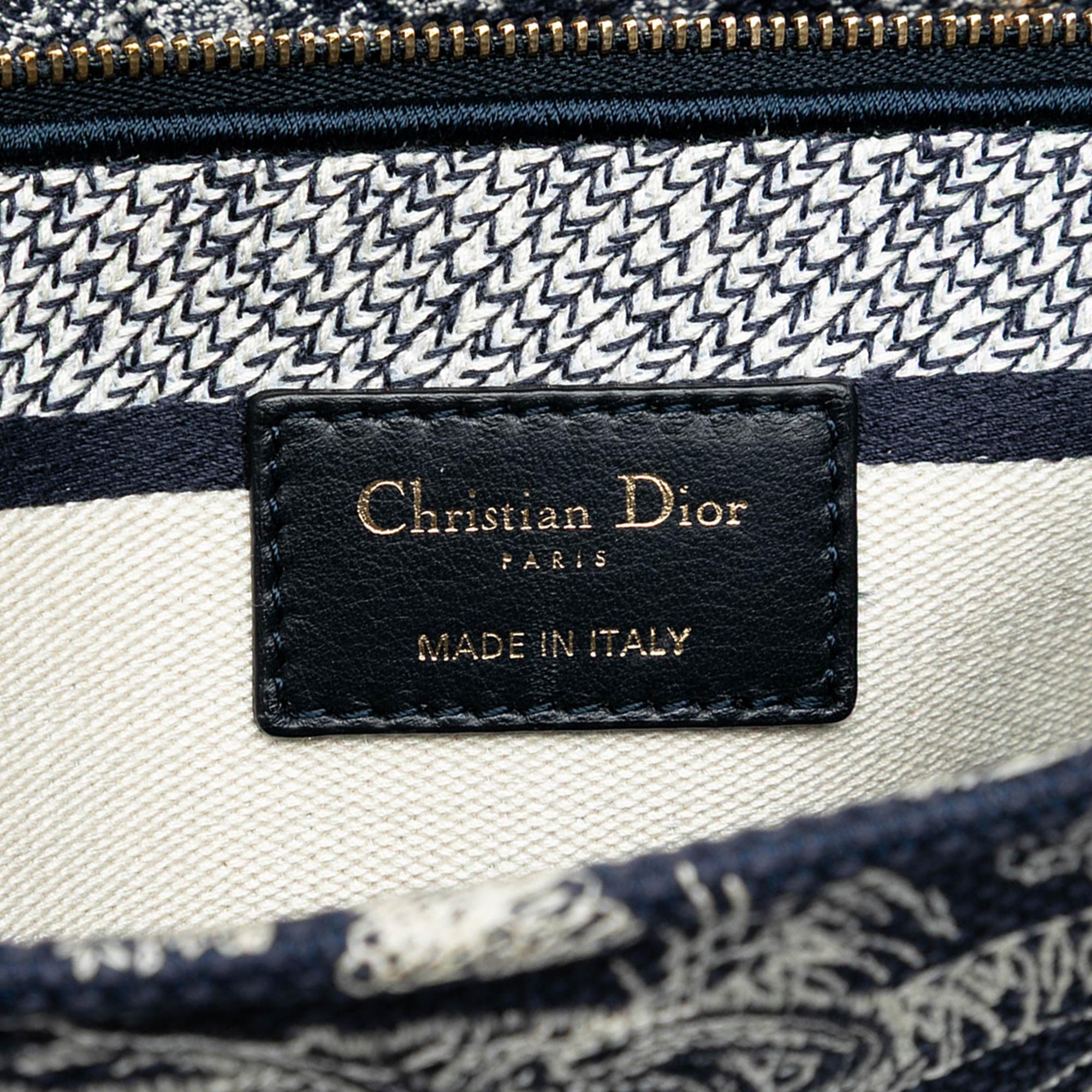 Dior Large Embroidered Canvas Toile de Jouy Lady D Lite