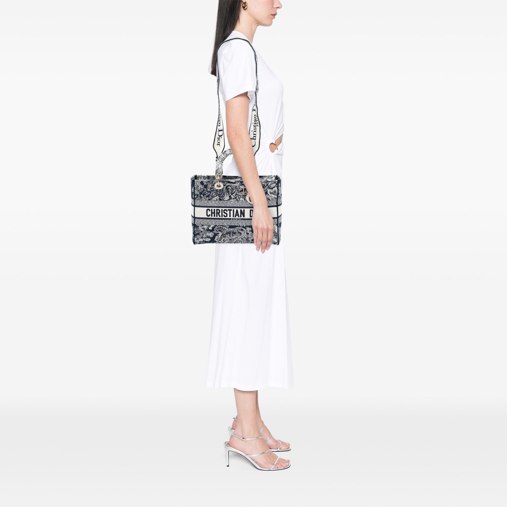 Dior Large Embroidered Canvas Toile de Jouy Lady D Lite