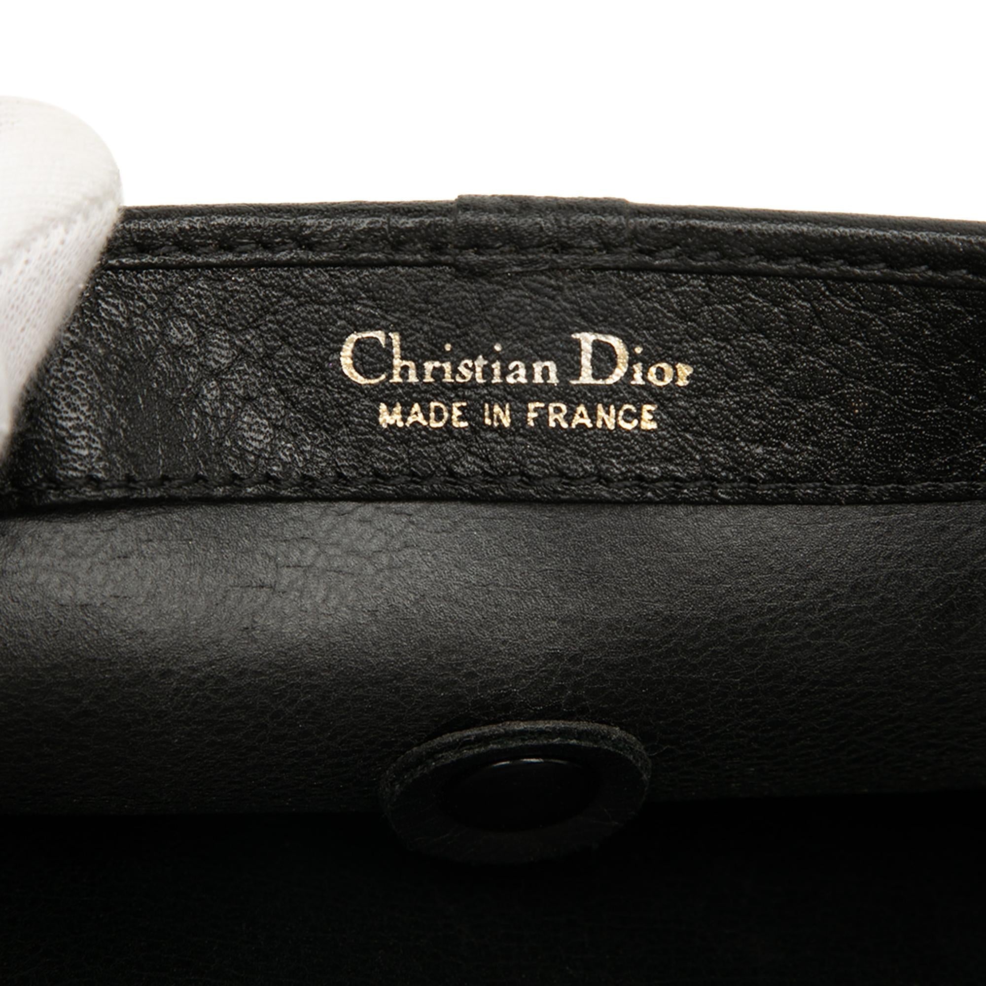 Dior Leather Chain Crossbody