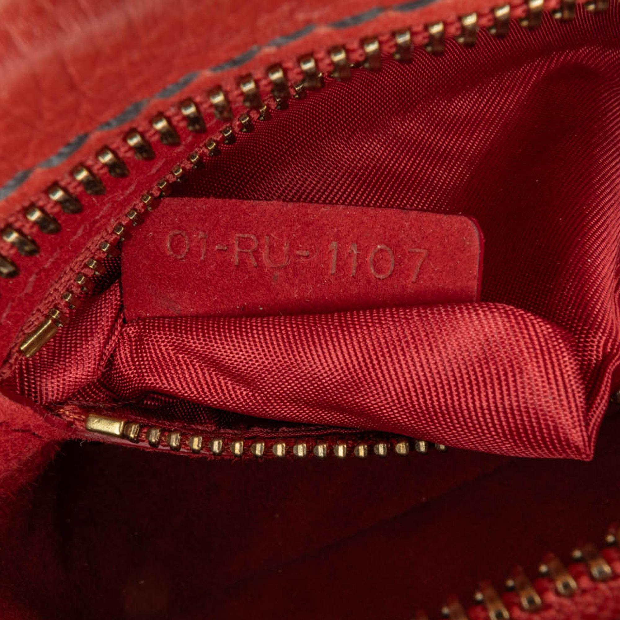 Dior Leather JAdior Camera Bag