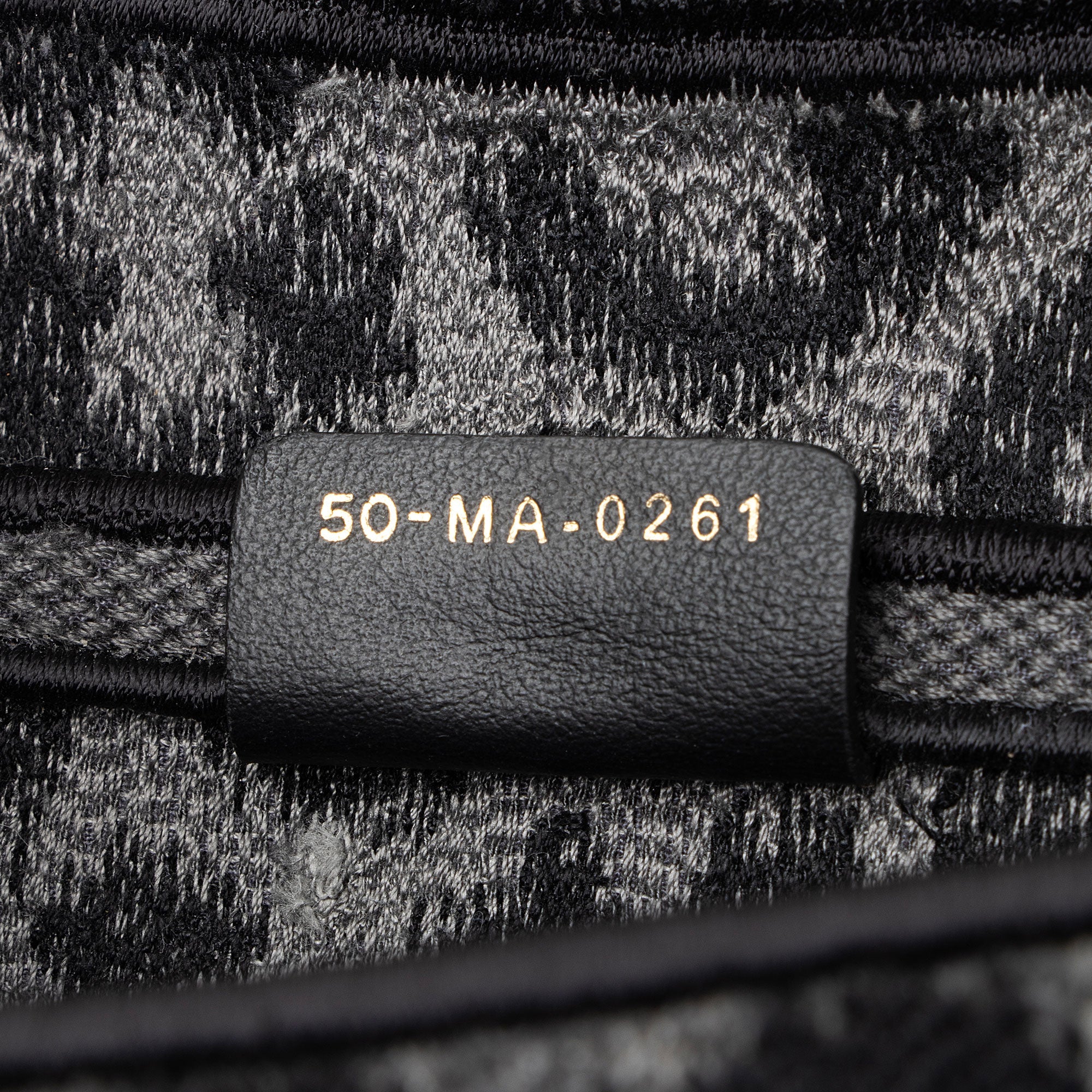 Dior Leopard Canvas Medium Saddle Bag