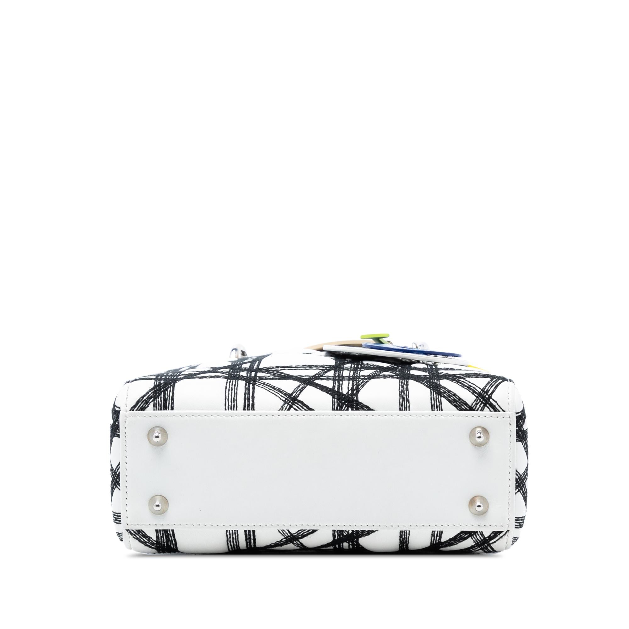 Dior Limited Edition Daniel Gordon Art Small Lambskin Cannage Lady Dior