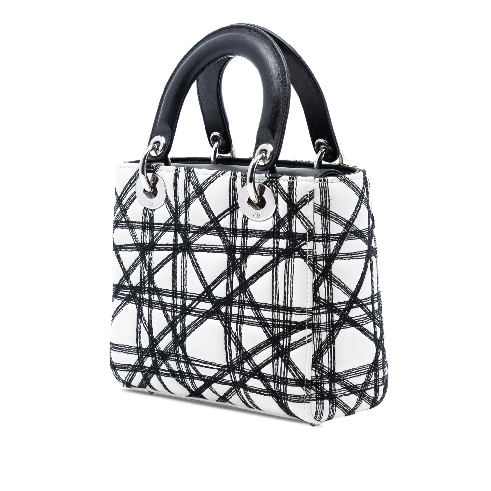 Dior Limited Edition Daniel Gordon Art Small Lambskin Cannage Lady Dior