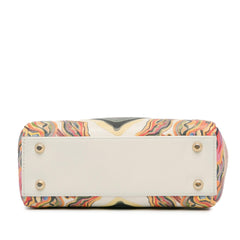 Dior Limited Edition Mini Calfskin Lady DiorAmour Lady Dior