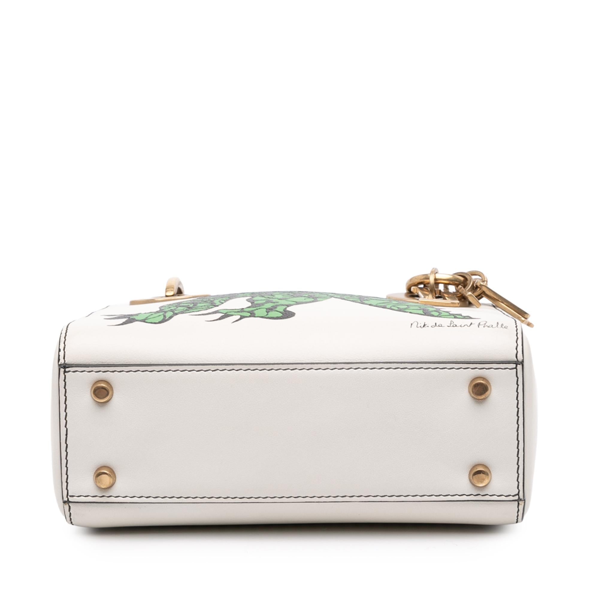 Dior Limited Edition Niki De Saint Phalle Mini Calfskin Dragon Lady Dior
