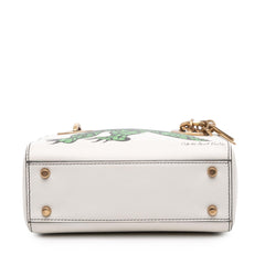 Dior Limited Edition Niki De Saint Phalle Mini Calfskin Dragon Lady Dior