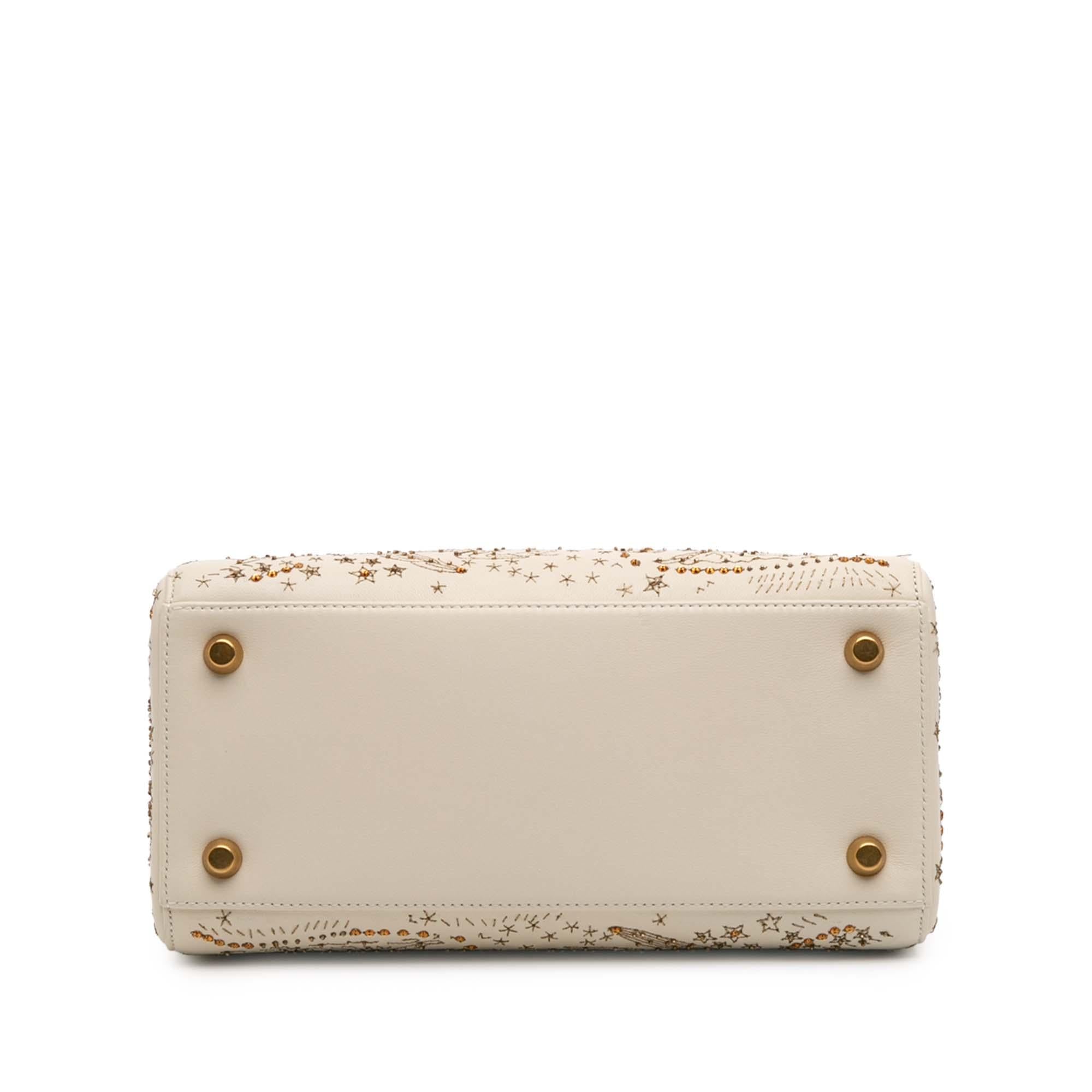 Dior Medium Calfskin Embroidered Astrology Lady Dior