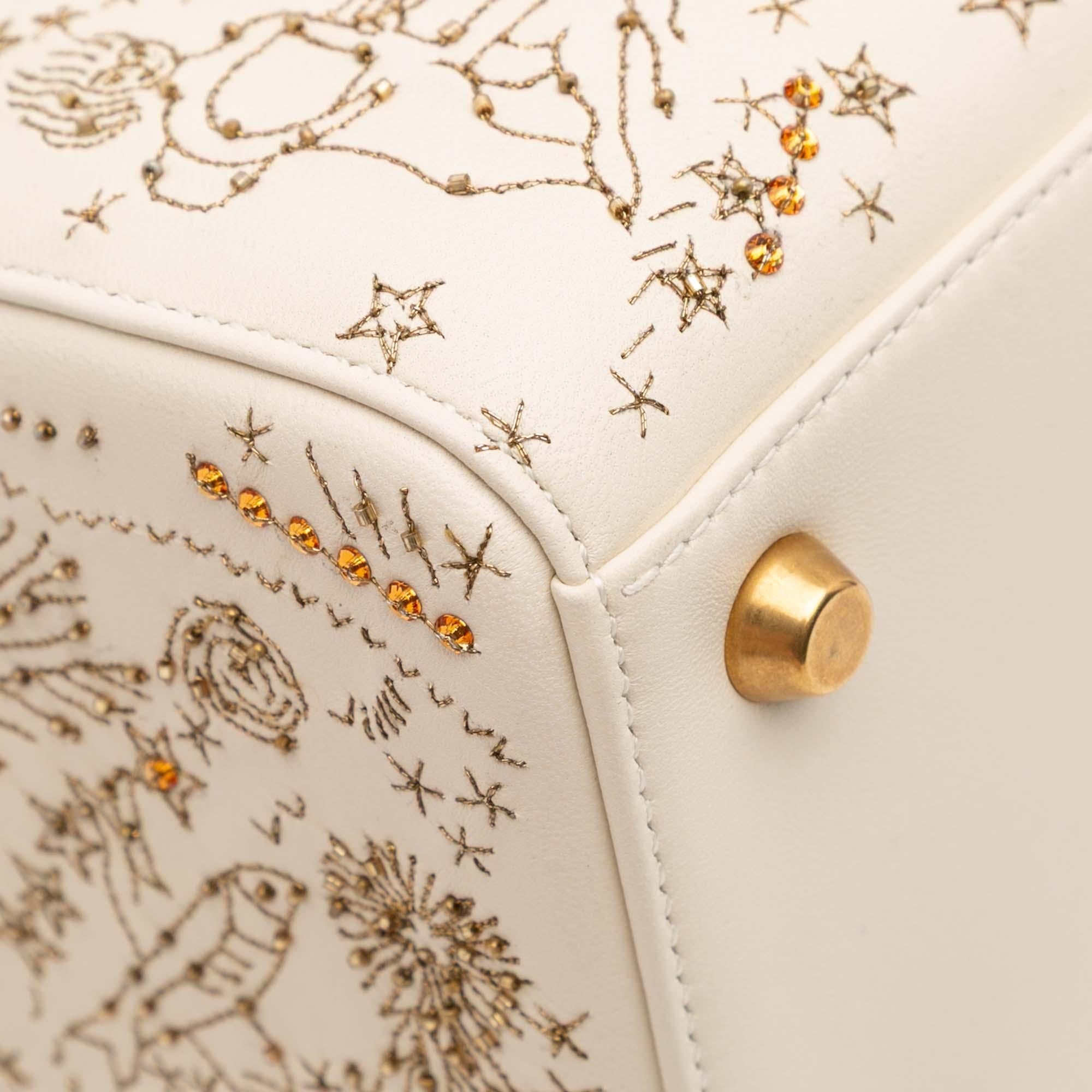 Dior Medium Calfskin Embroidered Astrology Lady Dior